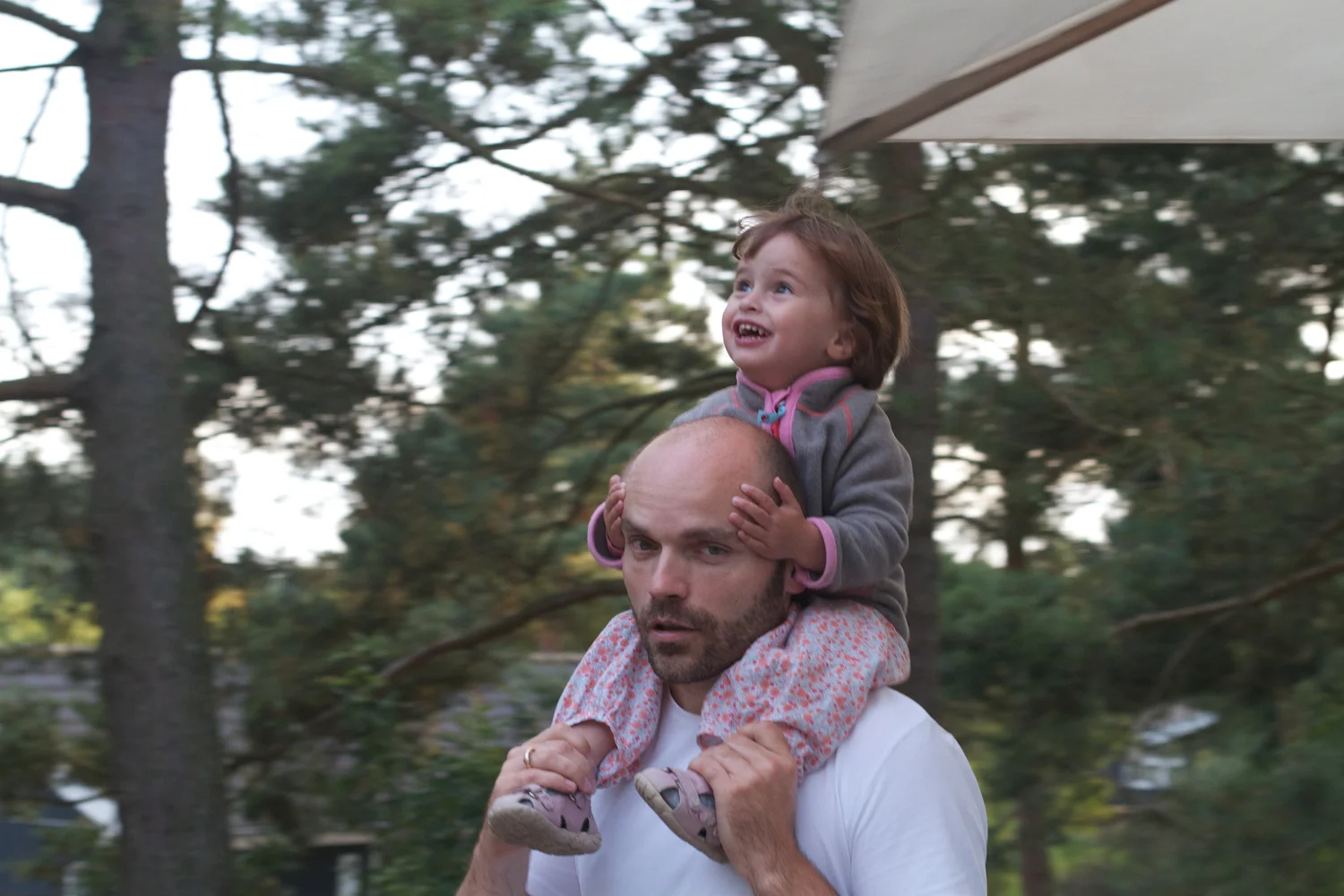 skd pic 2012_08_23 IMG_4439.CR2.jpg