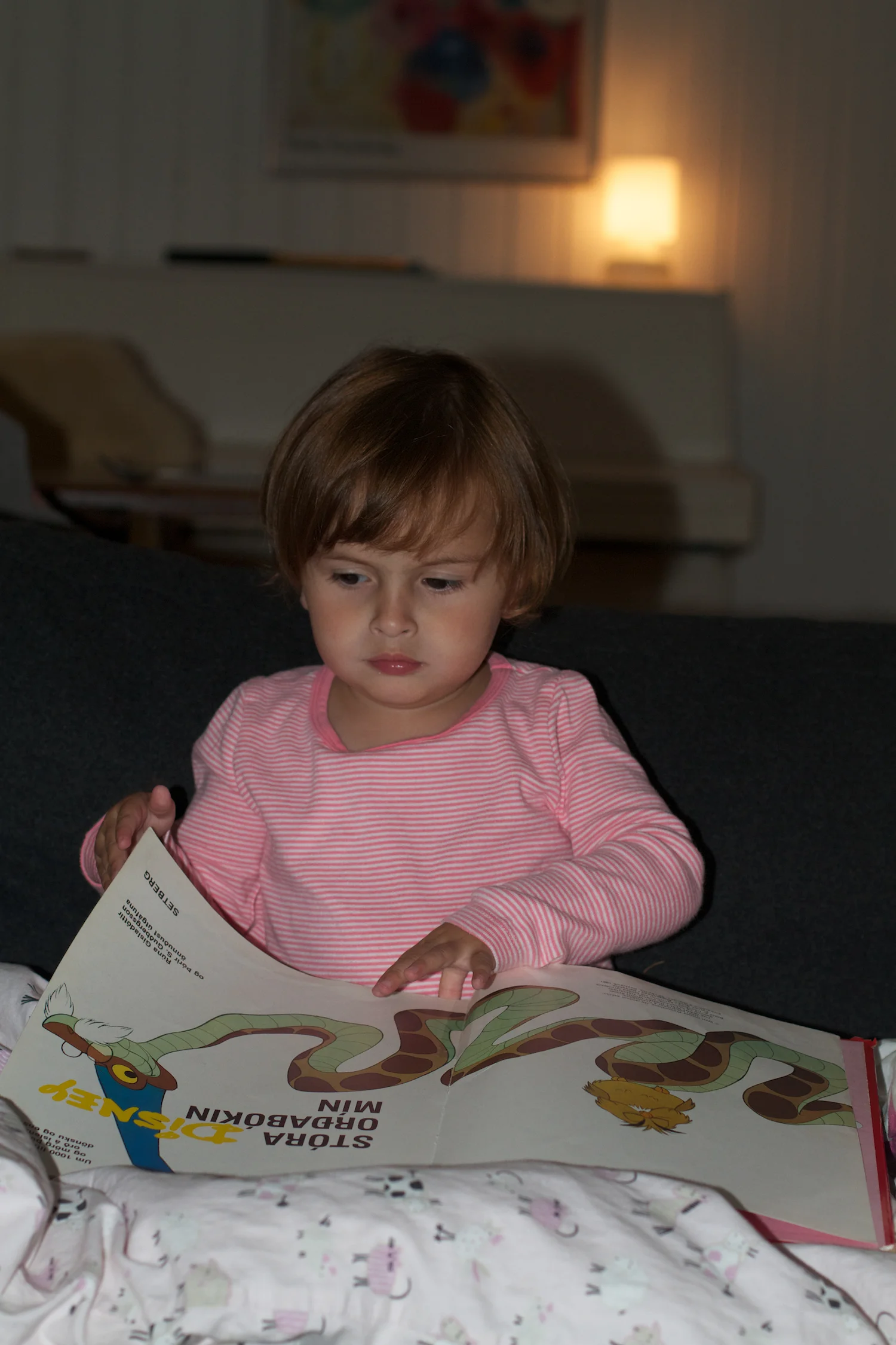 skd pic 2012_08_24 IMG_4557.CR2.jpg