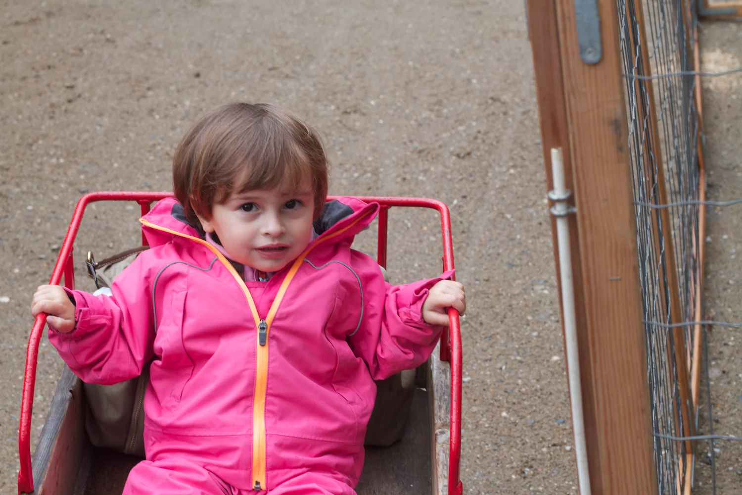 skd pic 2012_08_25 IMG_4569.CR2.jpg