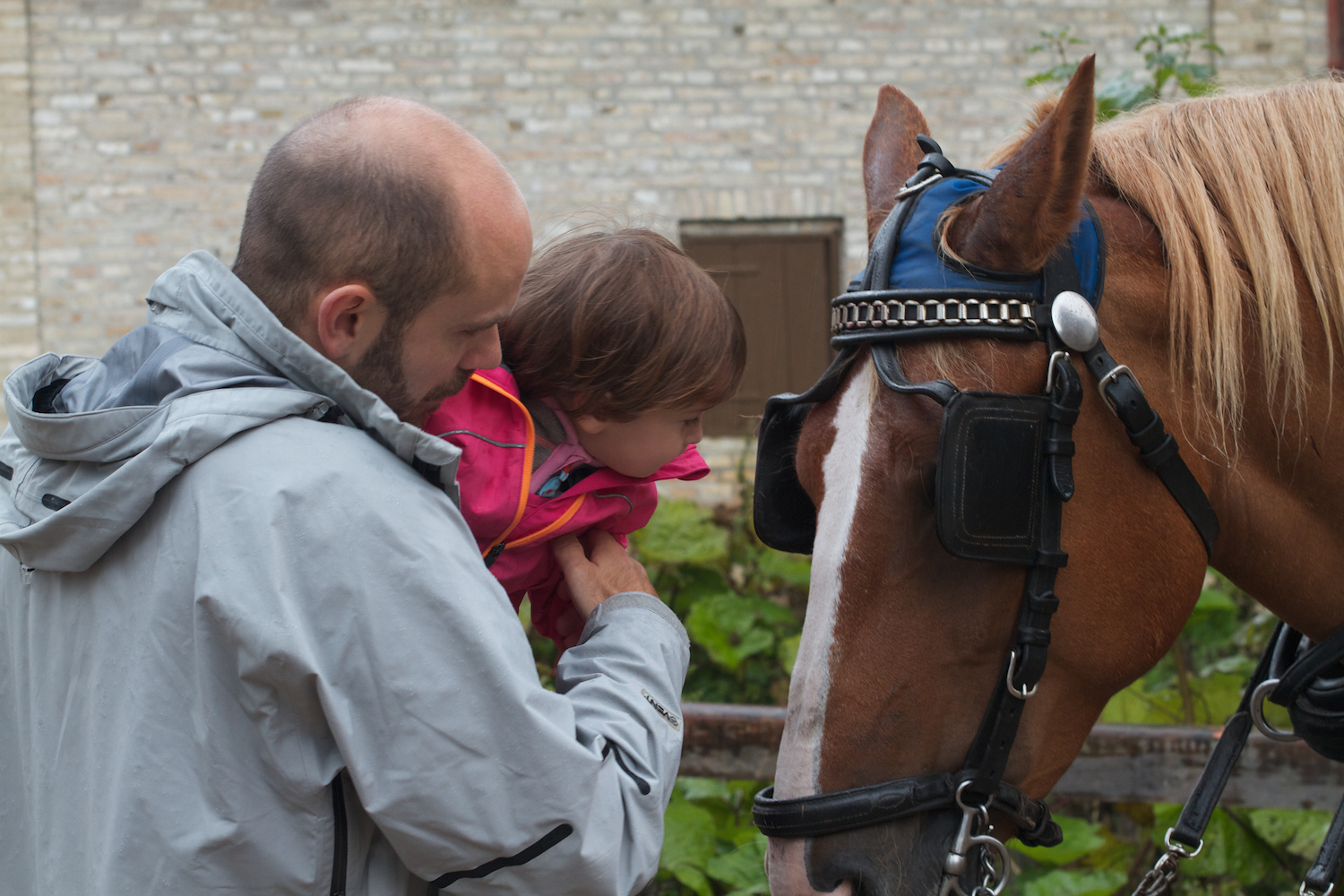 skd pic 2012_08_25 IMG_4582.CR2.jpg