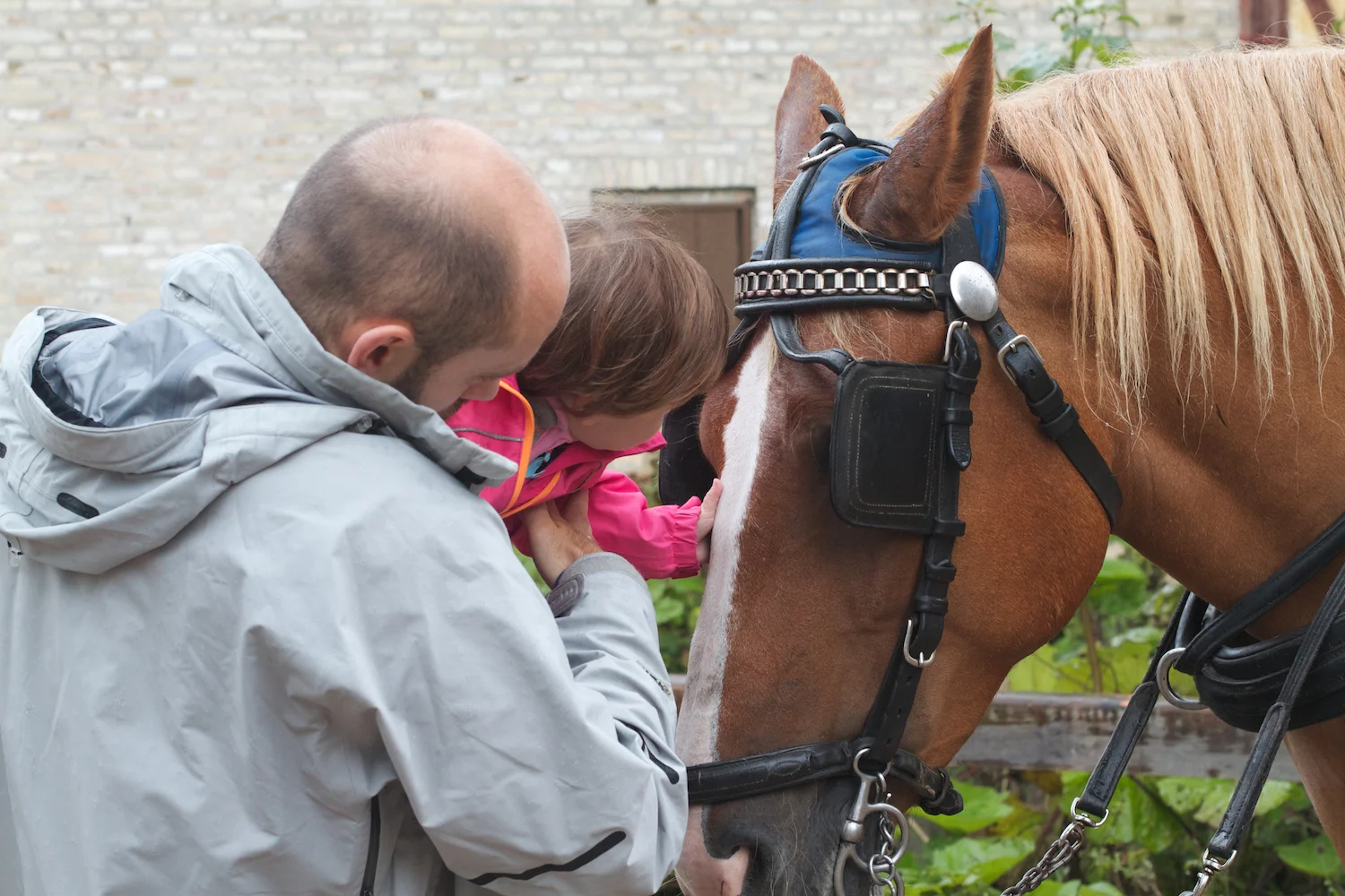 skd pic 2012_08_25 IMG_4584.CR2.jpg