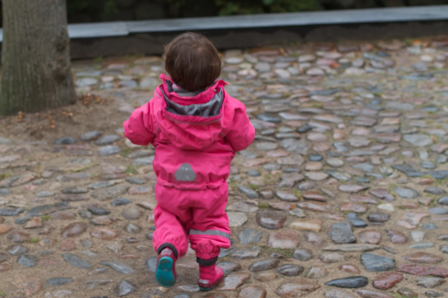 skd pic 2012_08_25 IMG_4588.CR2.jpg