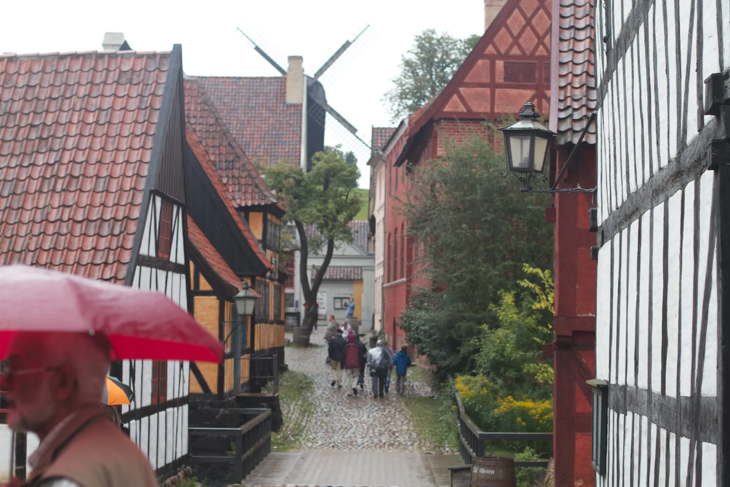 skd pic 2012_08_25 IMG_4589.CR2.jpg