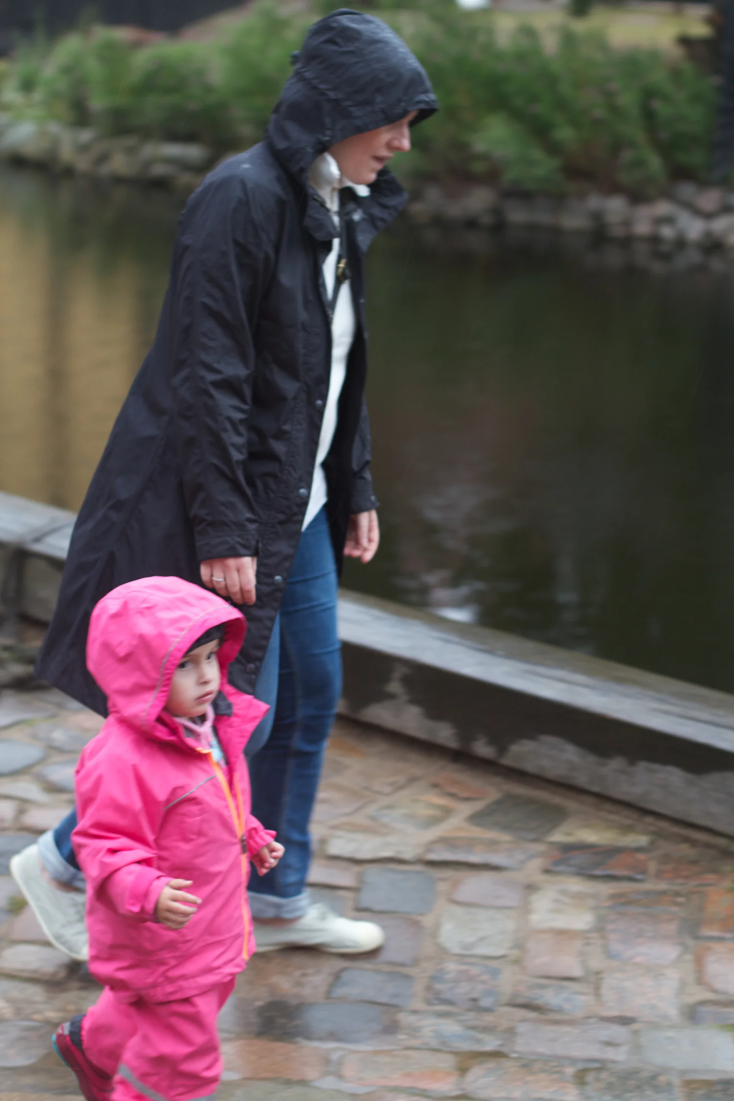 skd pic 2012_08_25 IMG_4591.CR2.jpg