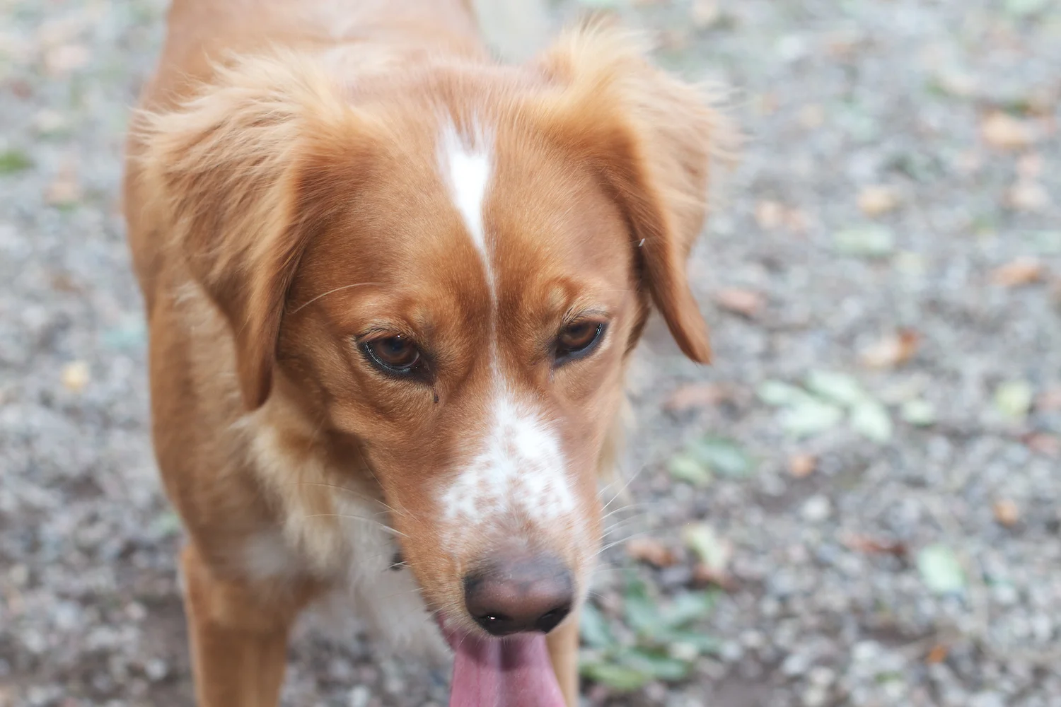 skd pic 2012_09_15 IMG_4876.CR2.jpg