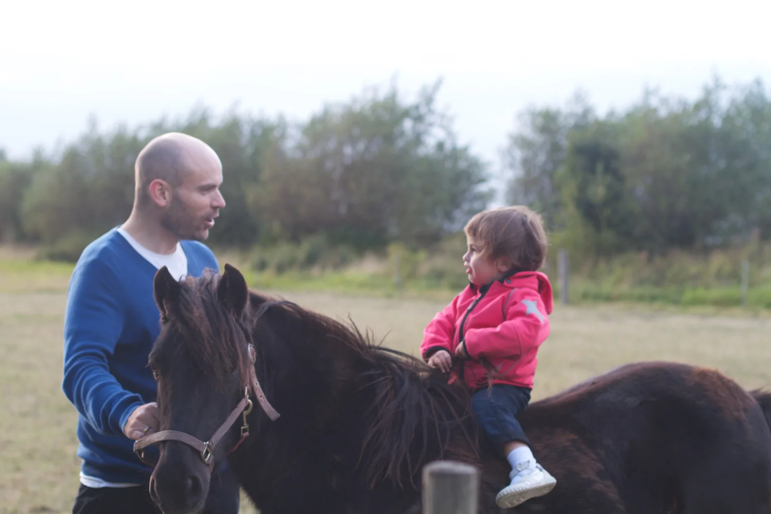 skd pic 2012_09_15 IMG_4927.CR2.jpg