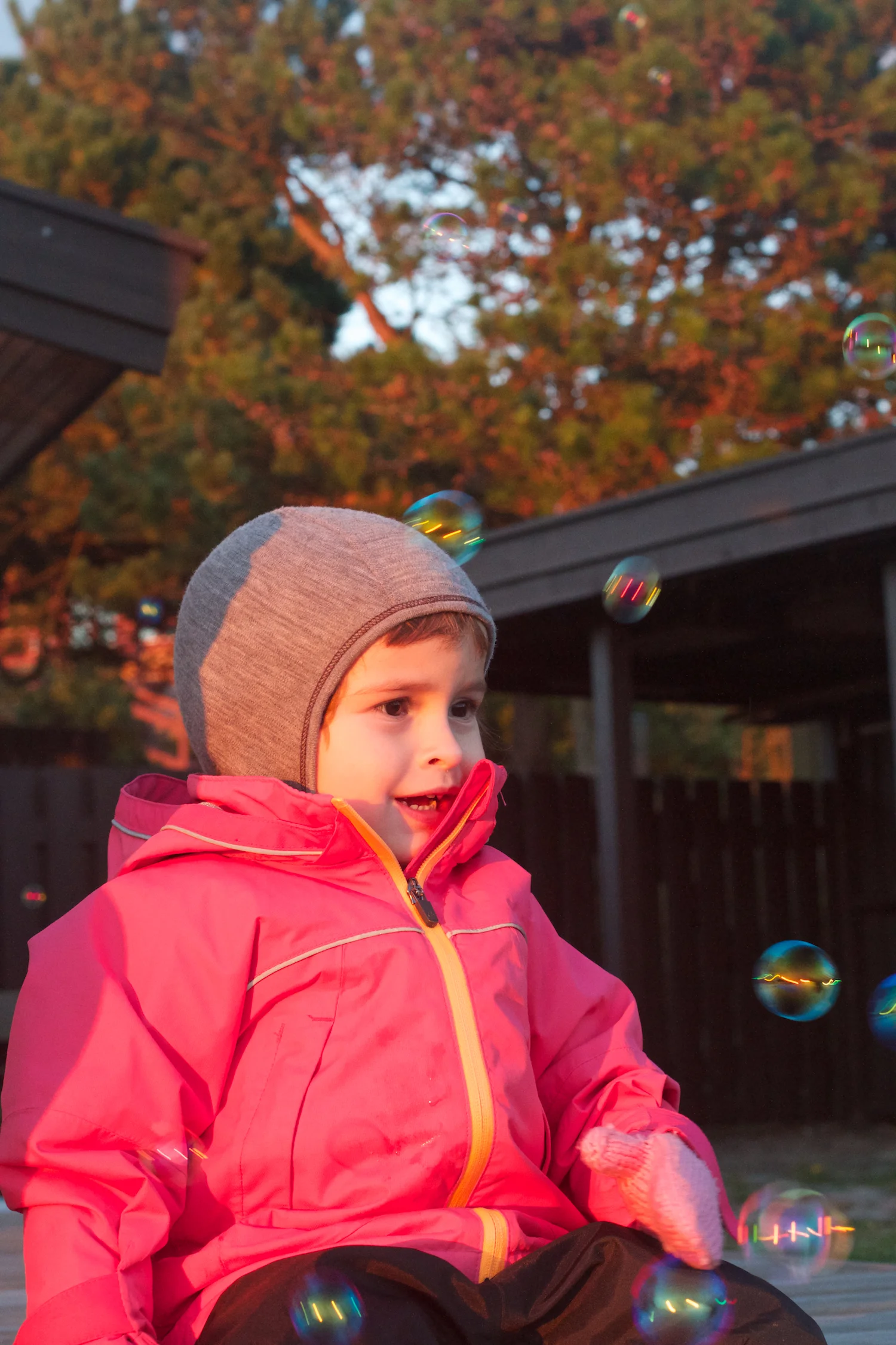 skd pic 2012_10_06 IMG_5460.CR2.jpg