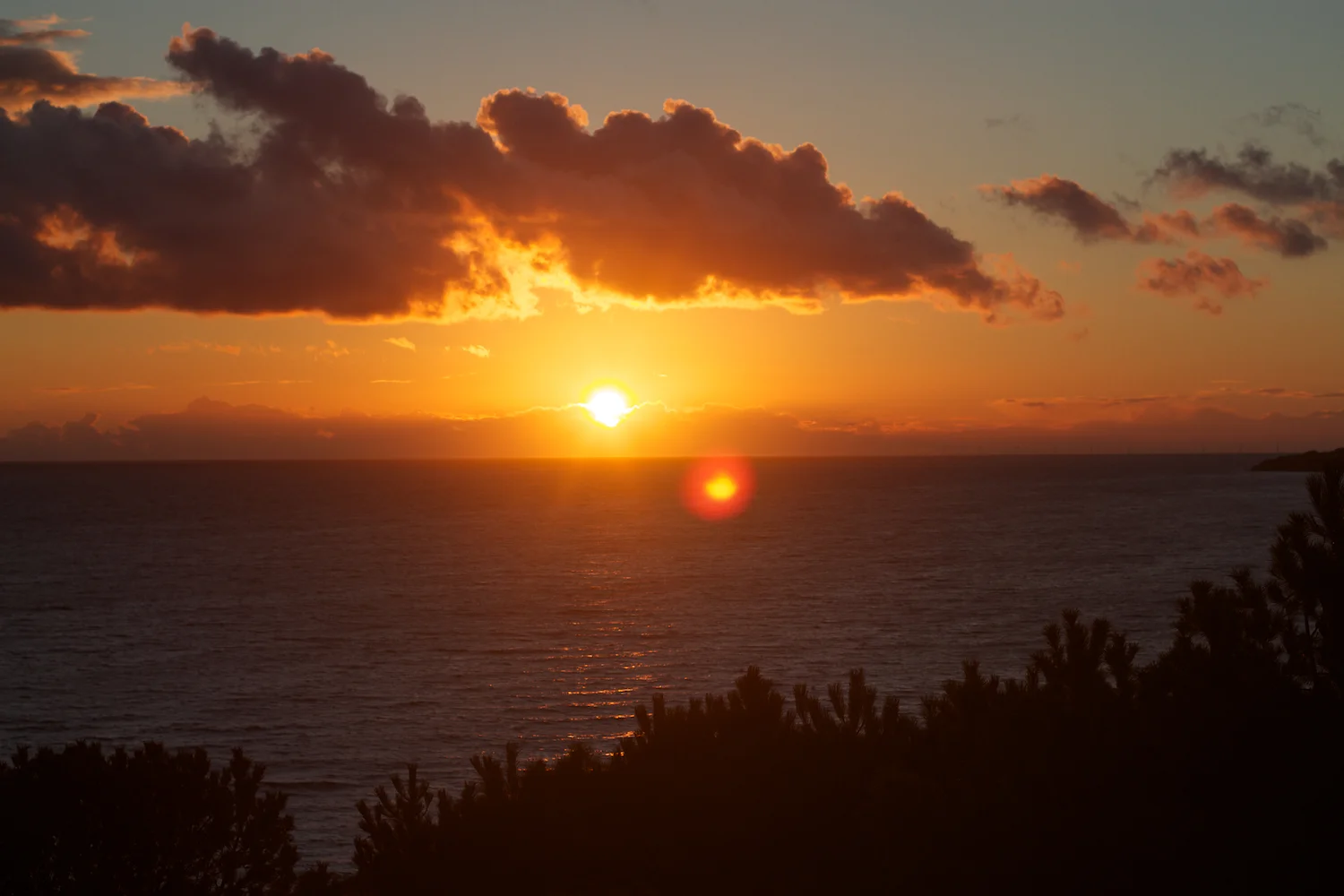 skd pic 2012_10_06 IMG_5528.CR2.jpg