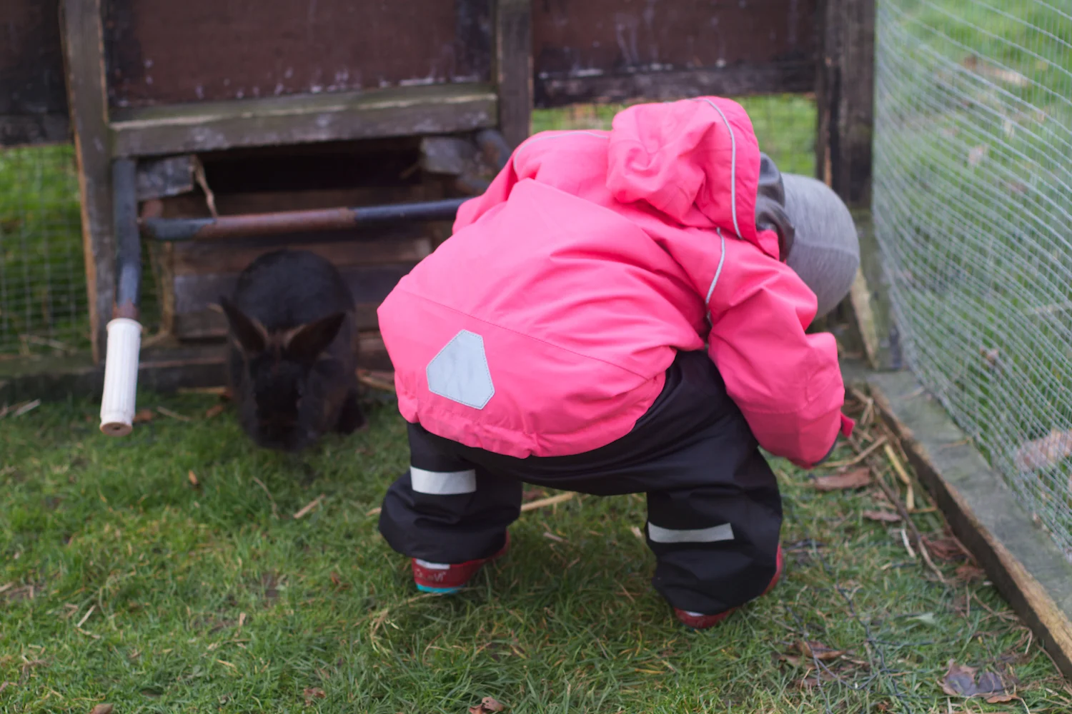 skd pic 2012_10_07 IMG_5652.CR2.jpg