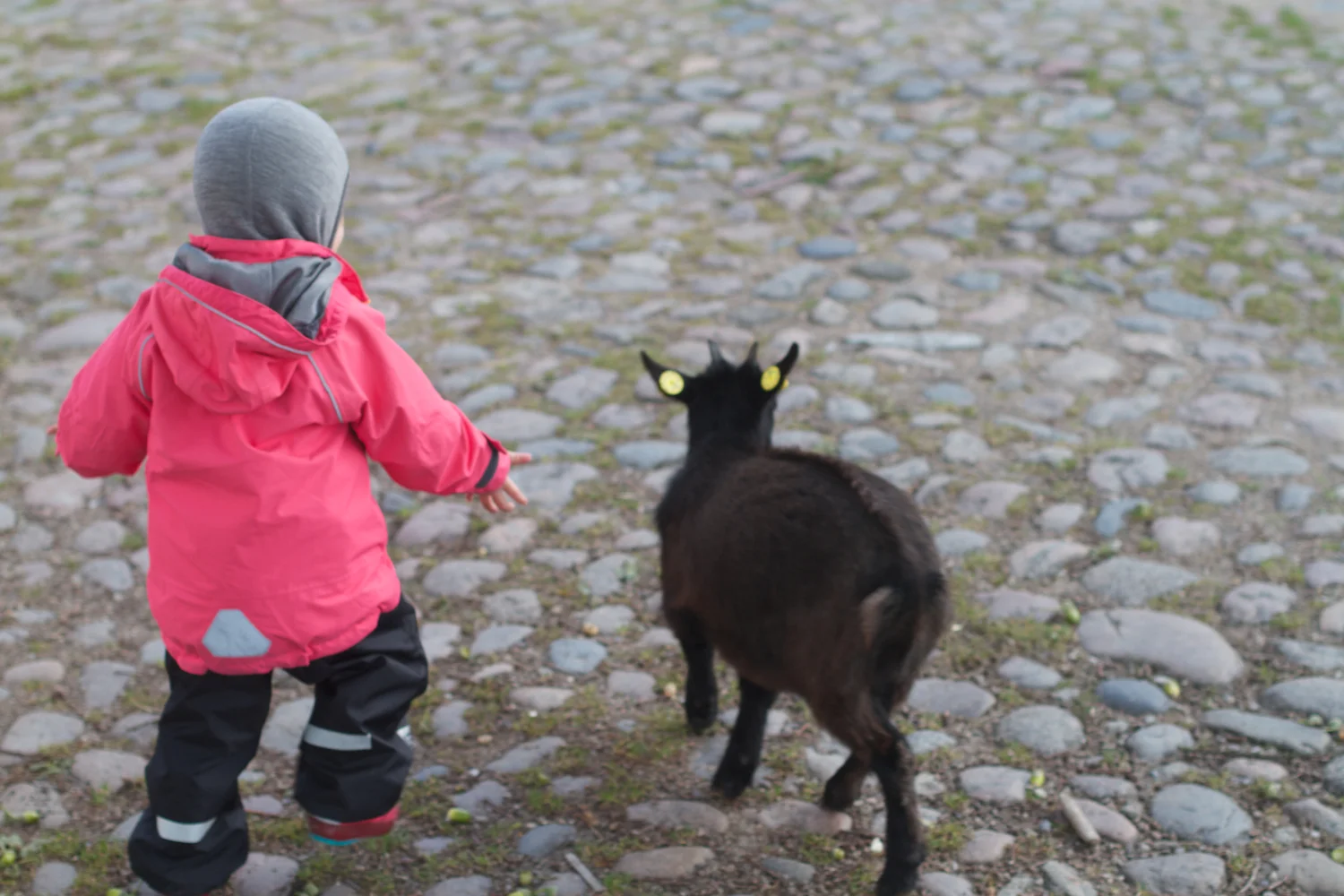 skd pic 2012_10_07 IMG_5657.CR2.jpg