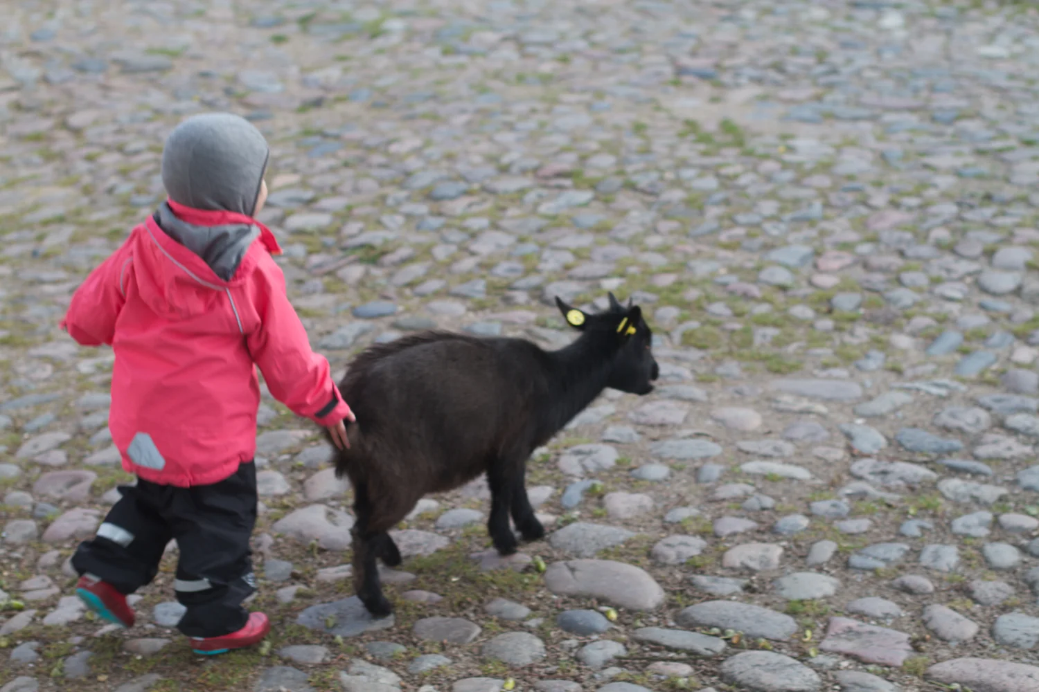 skd pic 2012_10_07 IMG_5658.CR2.jpg