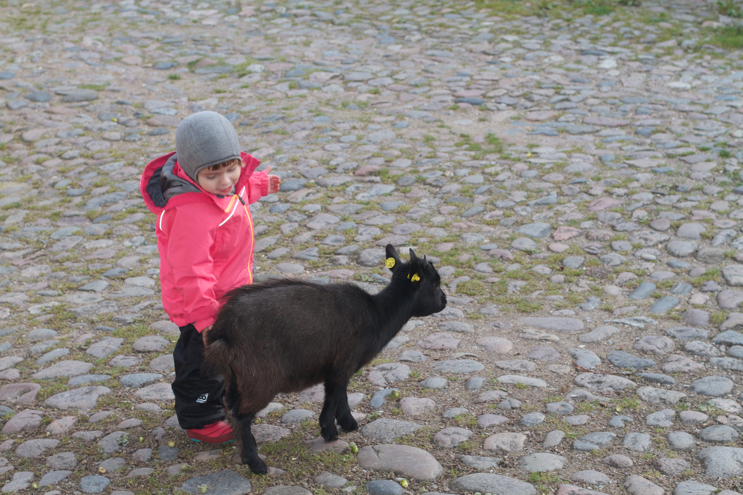 skd pic 2012_10_07 IMG_5659.CR2.jpg