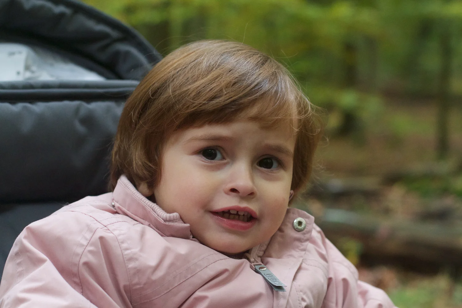 skd pic 2012_10_19 IMG_5711.CR2.jpg