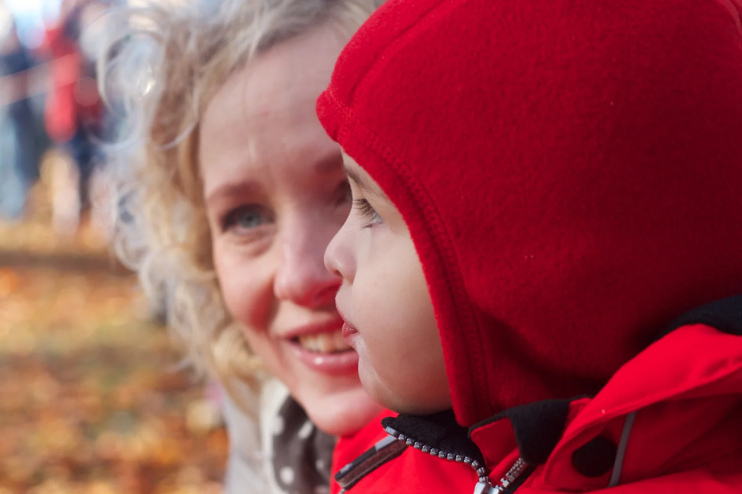 skd pic 2012_11_04 IMG_5986.CR2.jpg