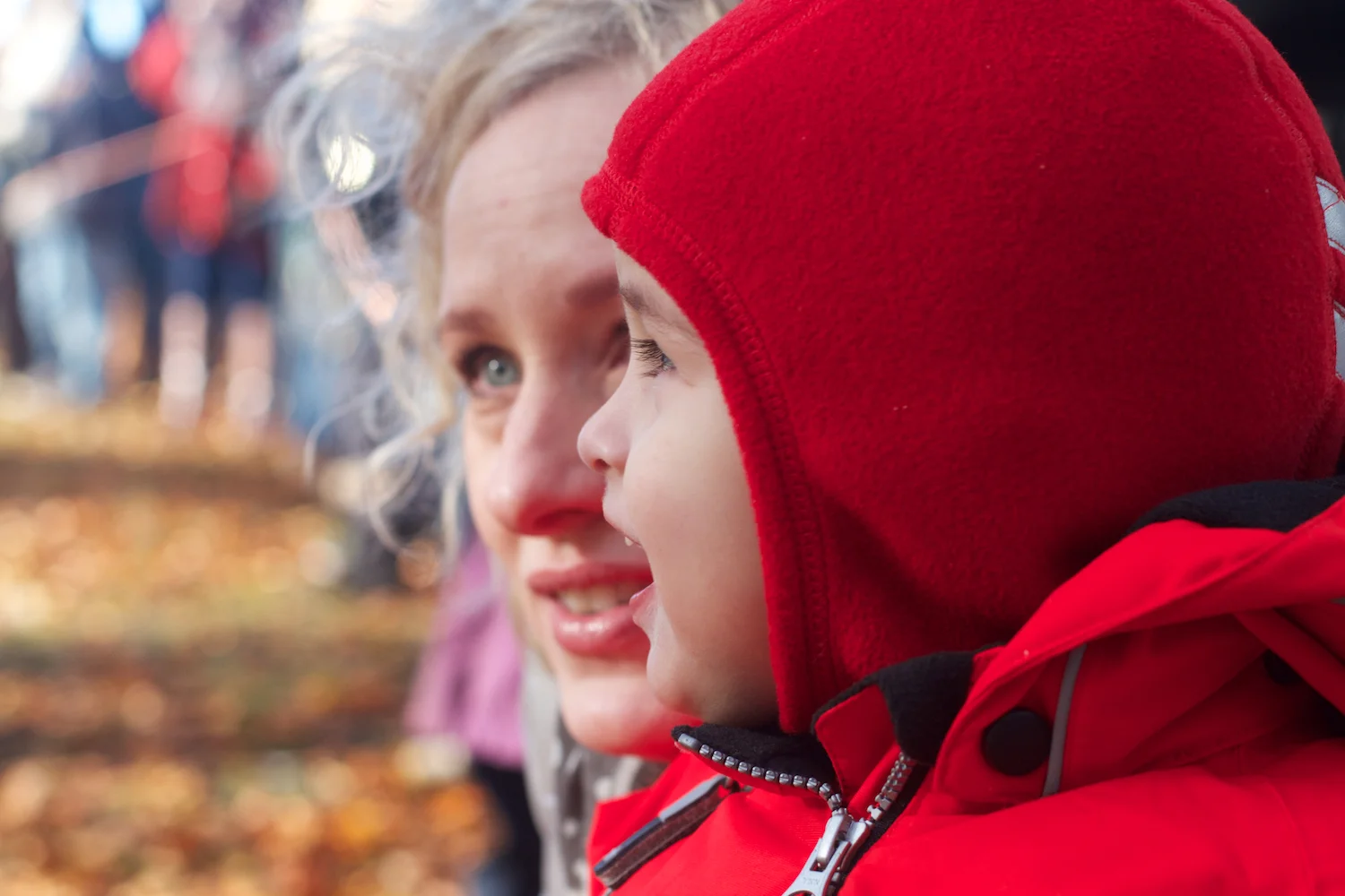 skd pic 2012_11_04 IMG_5992.CR2.jpg