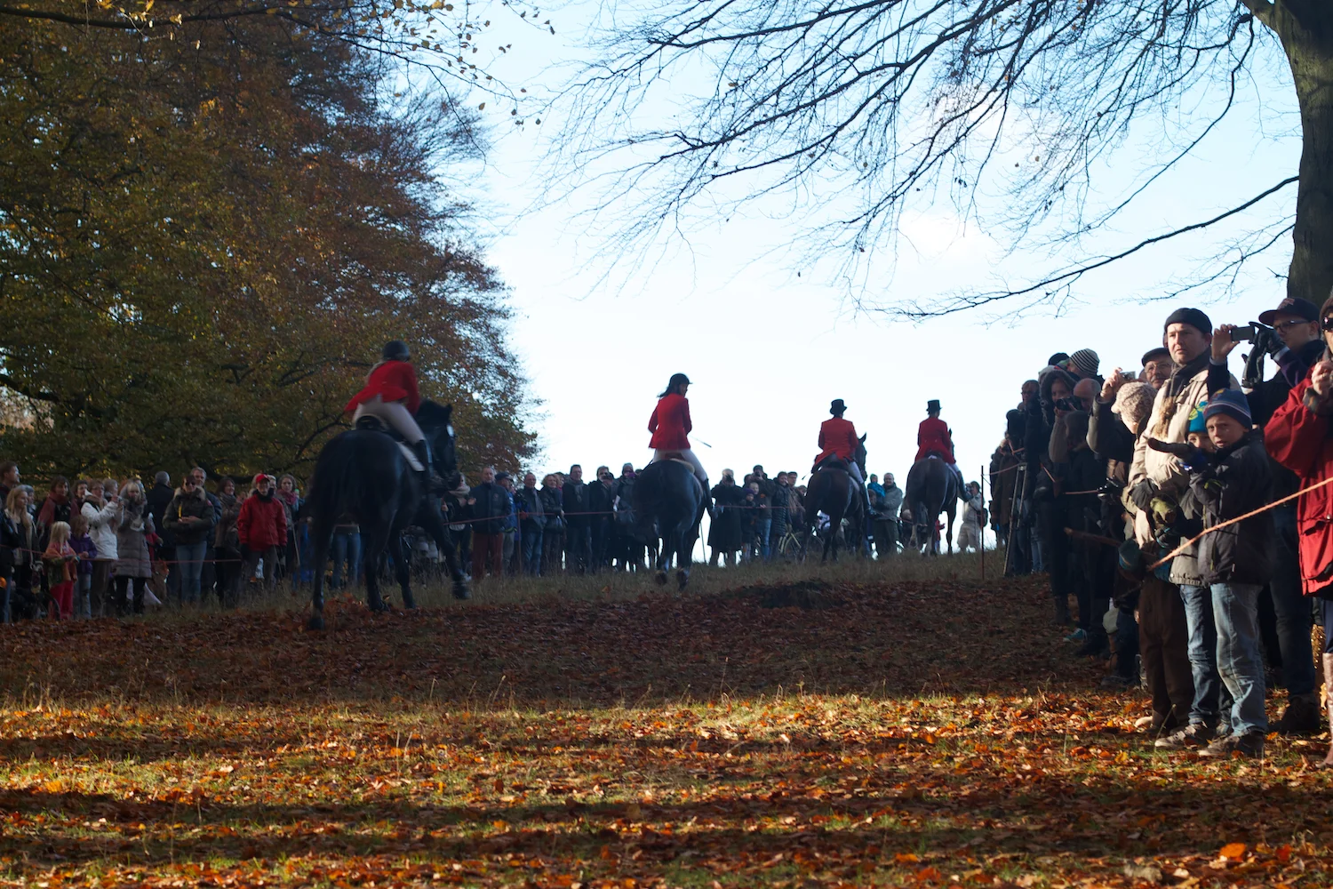 skd pic 2012_11_04 IMG_5987.CR2.jpg