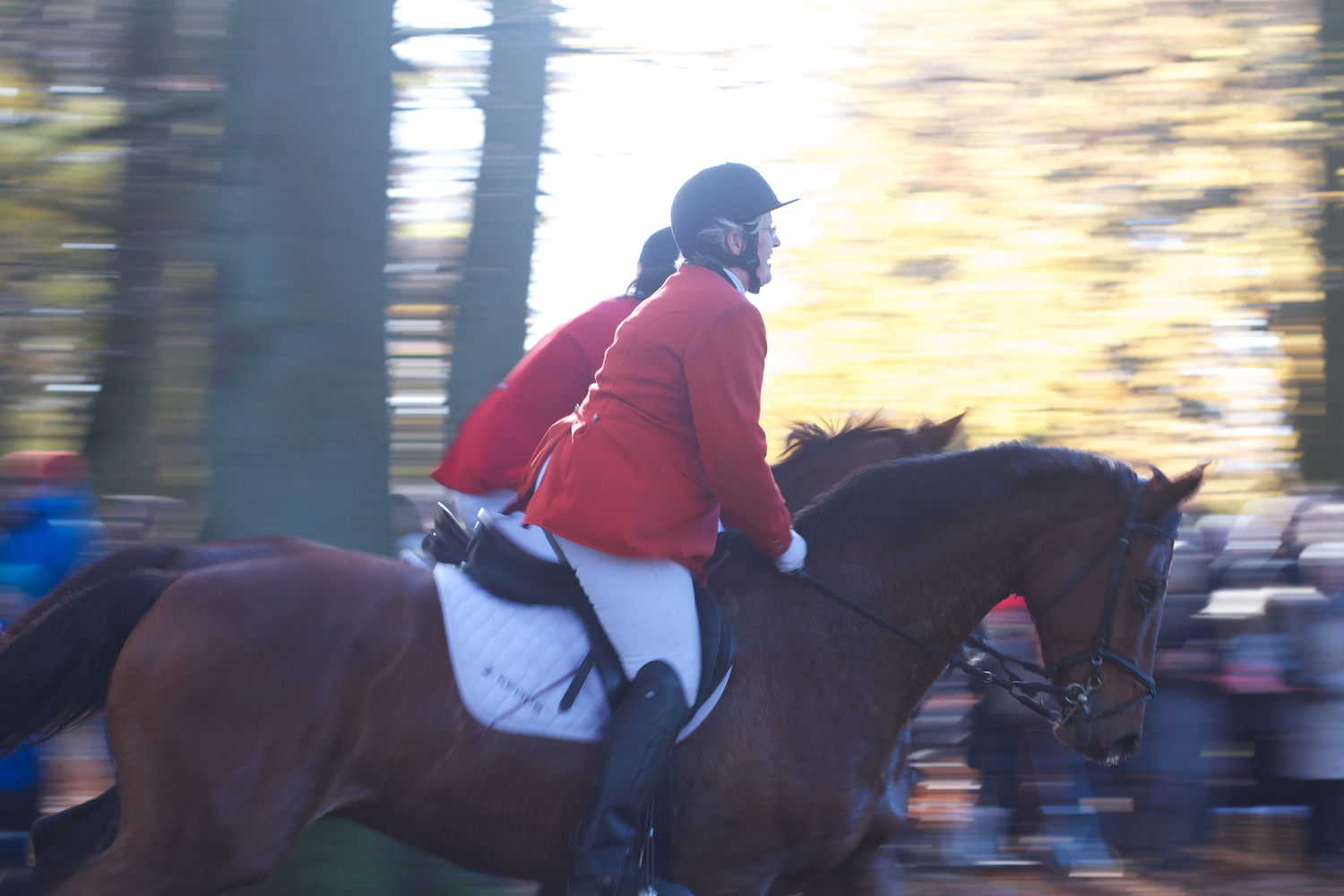 skd pic 2012_11_04 IMG_6028.CR2.jpg