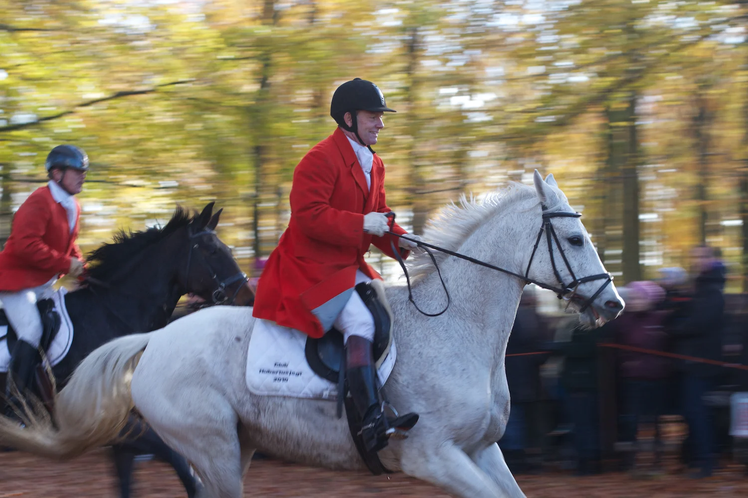 skd pic 2012_11_04 IMG_6032.CR2.jpg