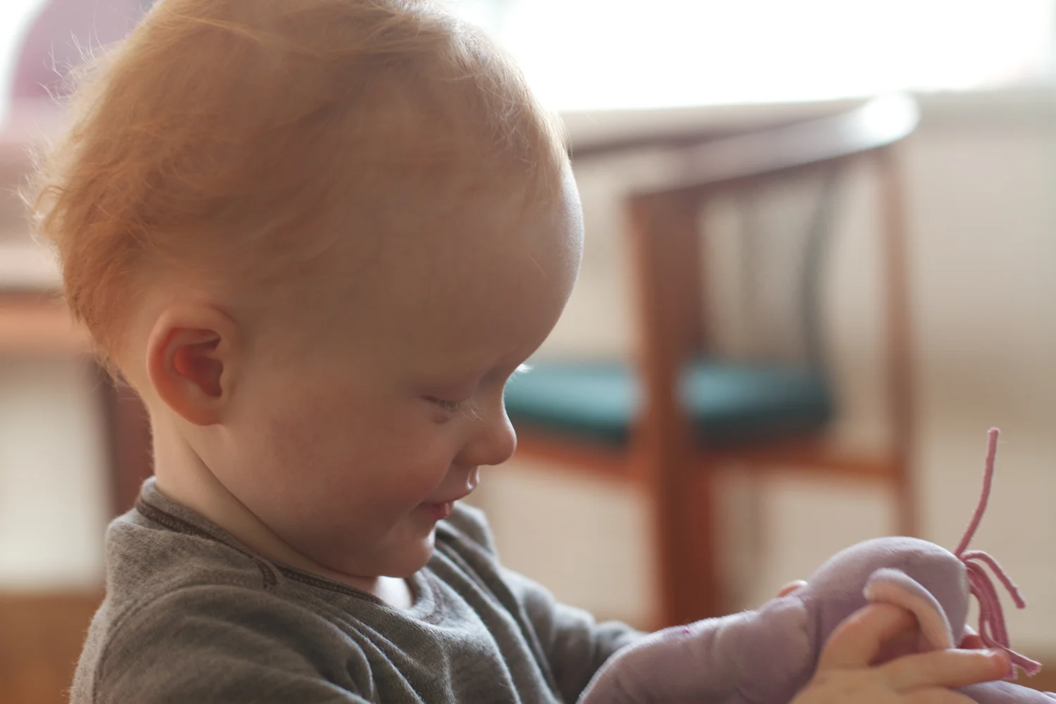 skd pic 2012_11_04 IMG_6147.CR2.jpg