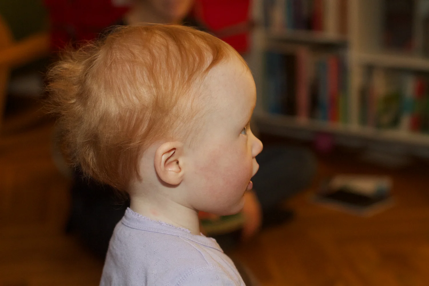 skd pic 2012_11_04 IMG_6180.CR2.jpg