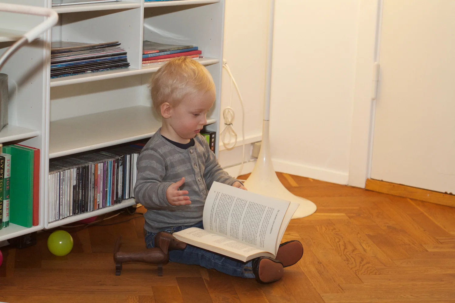 skd pic 2012_11_04 IMG_6192.CR2.jpg