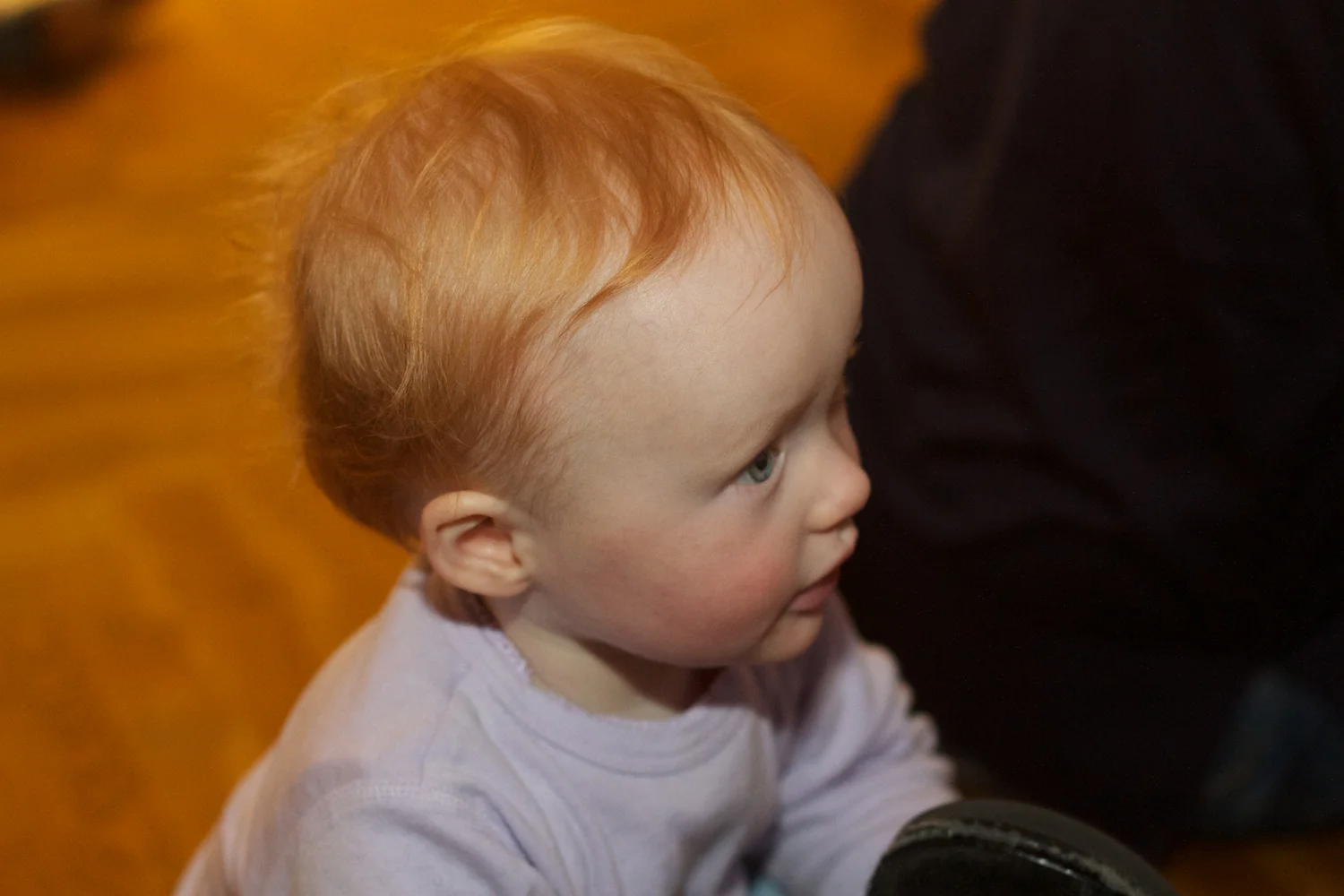 skd pic 2012_11_04 IMG_6195.CR2.jpg