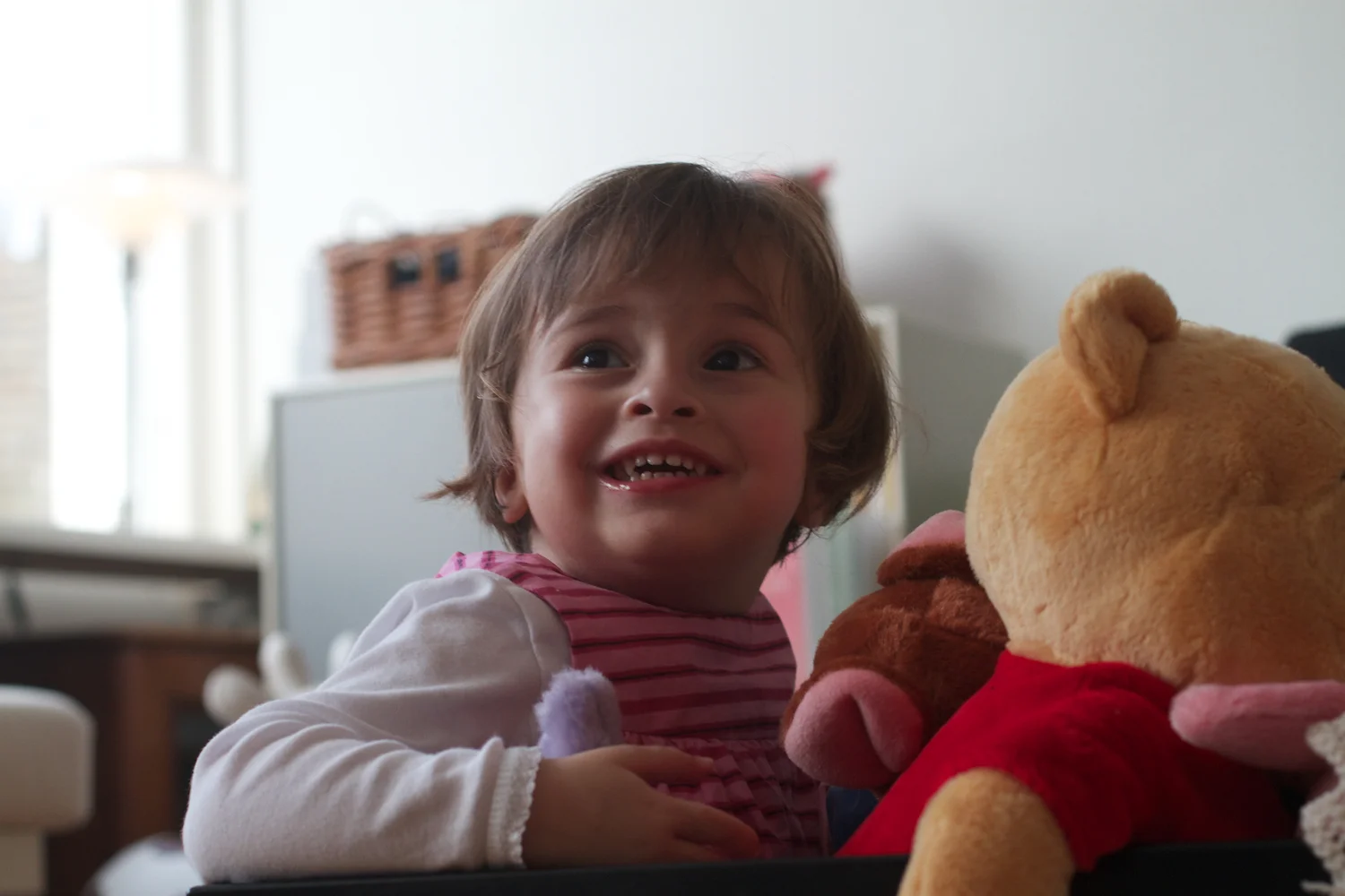 skd pic 2012_12_24 IMG_6521.CR2.jpg