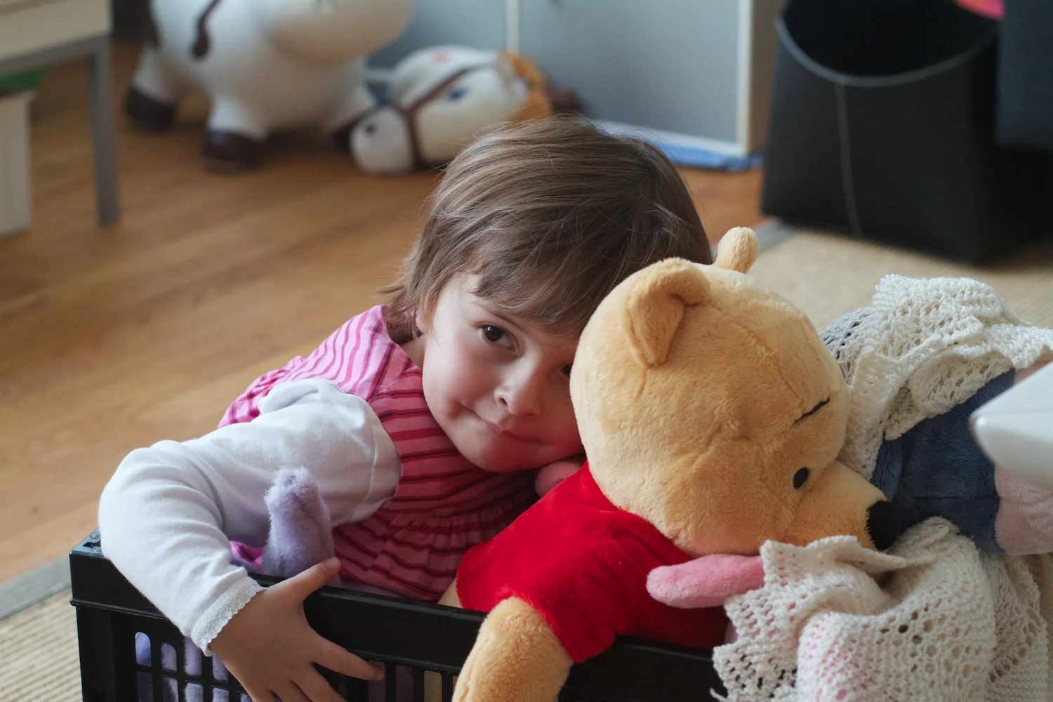 skd pic 2012_12_24 IMG_6520.CR2.jpg