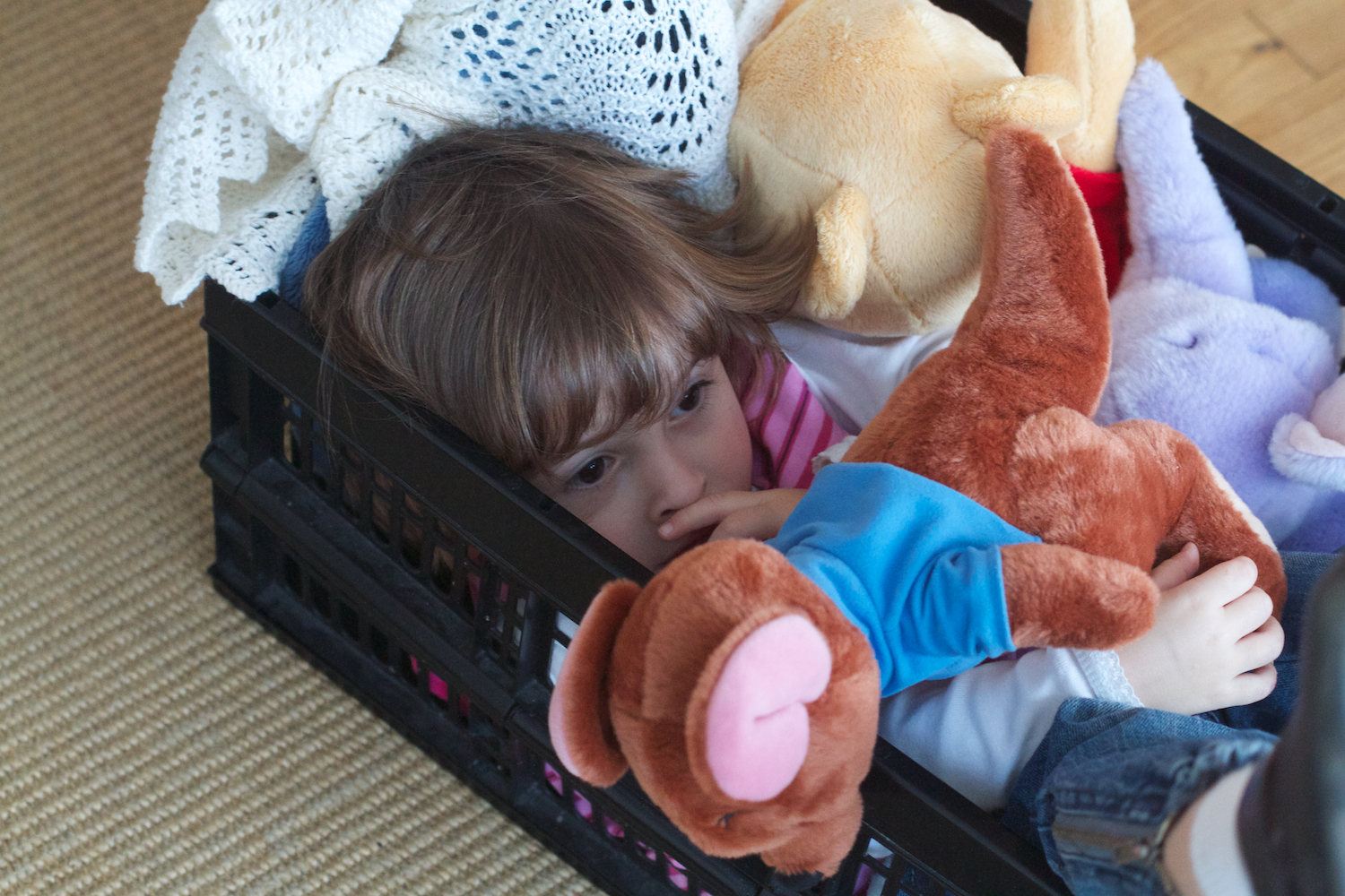 skd pic 2012_12_24 IMG_6524.CR2.jpg