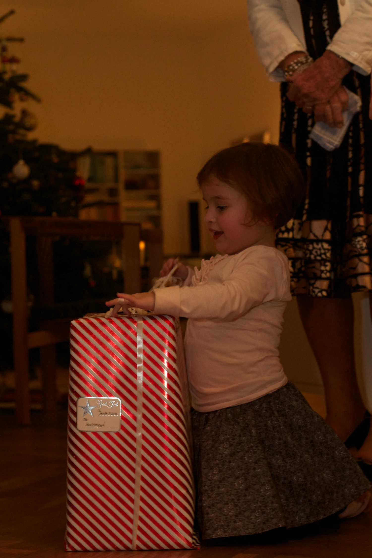 skd pic 2012_12_24 IMG_6557.CR2.jpg