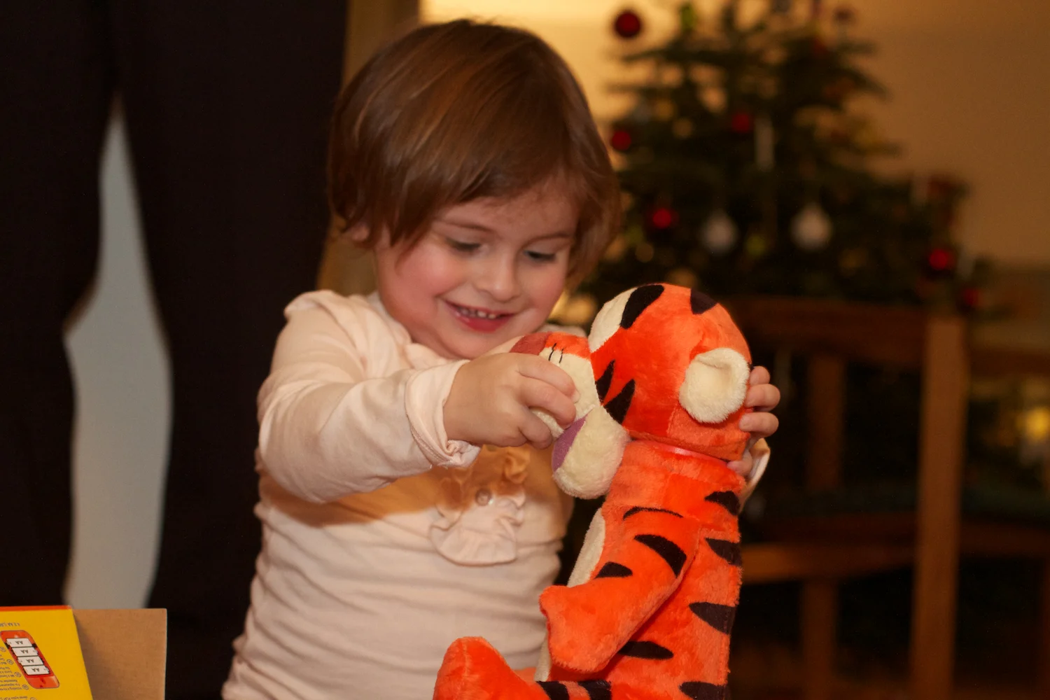 skd pic 2012_12_24 IMG_6570.CR2.jpg