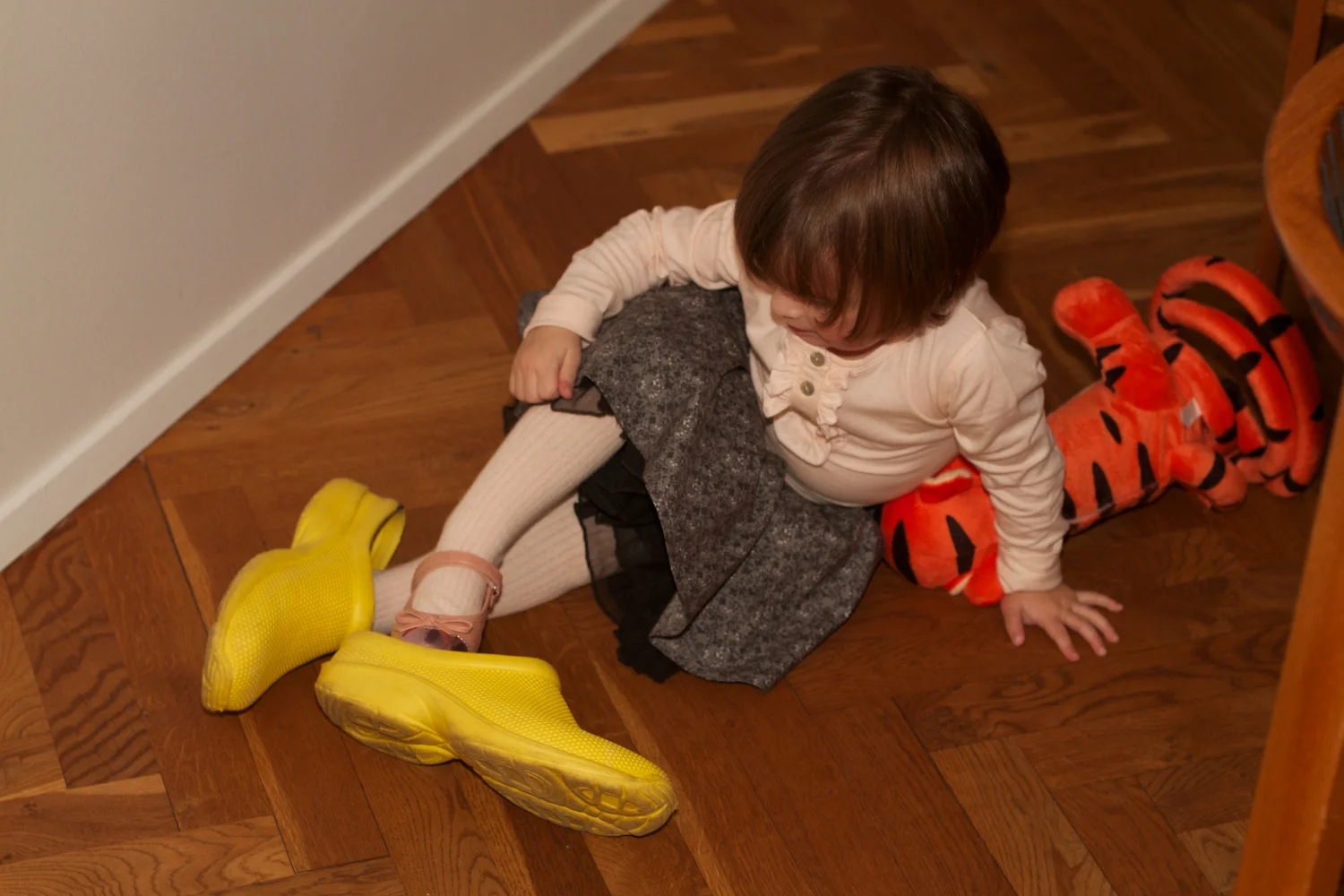 skd pic 2012_12_24 IMG_6591.CR2.jpg