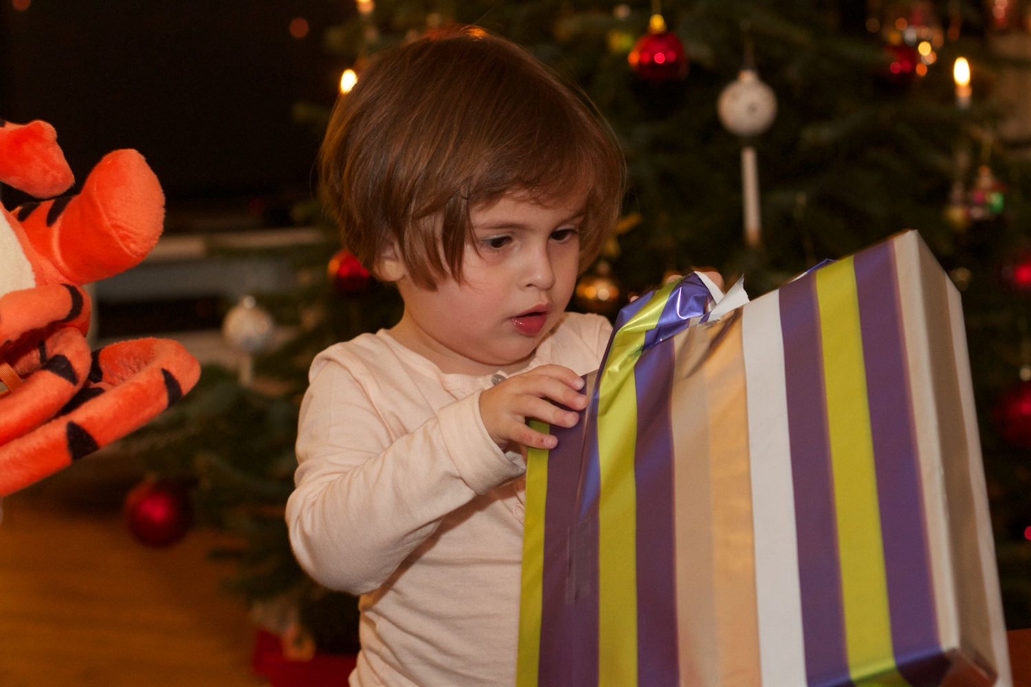 skd pic 2012_12_24 IMG_6608.CR2.jpg