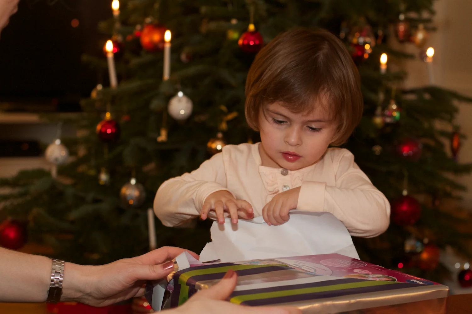 skd pic 2012_12_24 IMG_6610.CR2.jpg