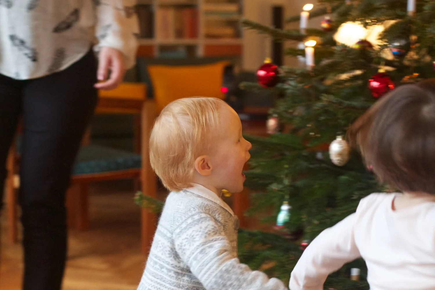 skd pic 2012_12_26 IMG_6830.CR2.jpg