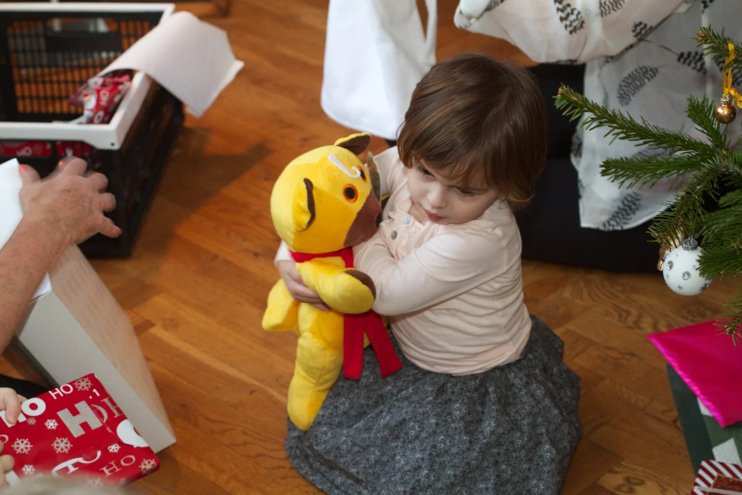 skd pic 2012_12_26 IMG_6851.CR2.jpg