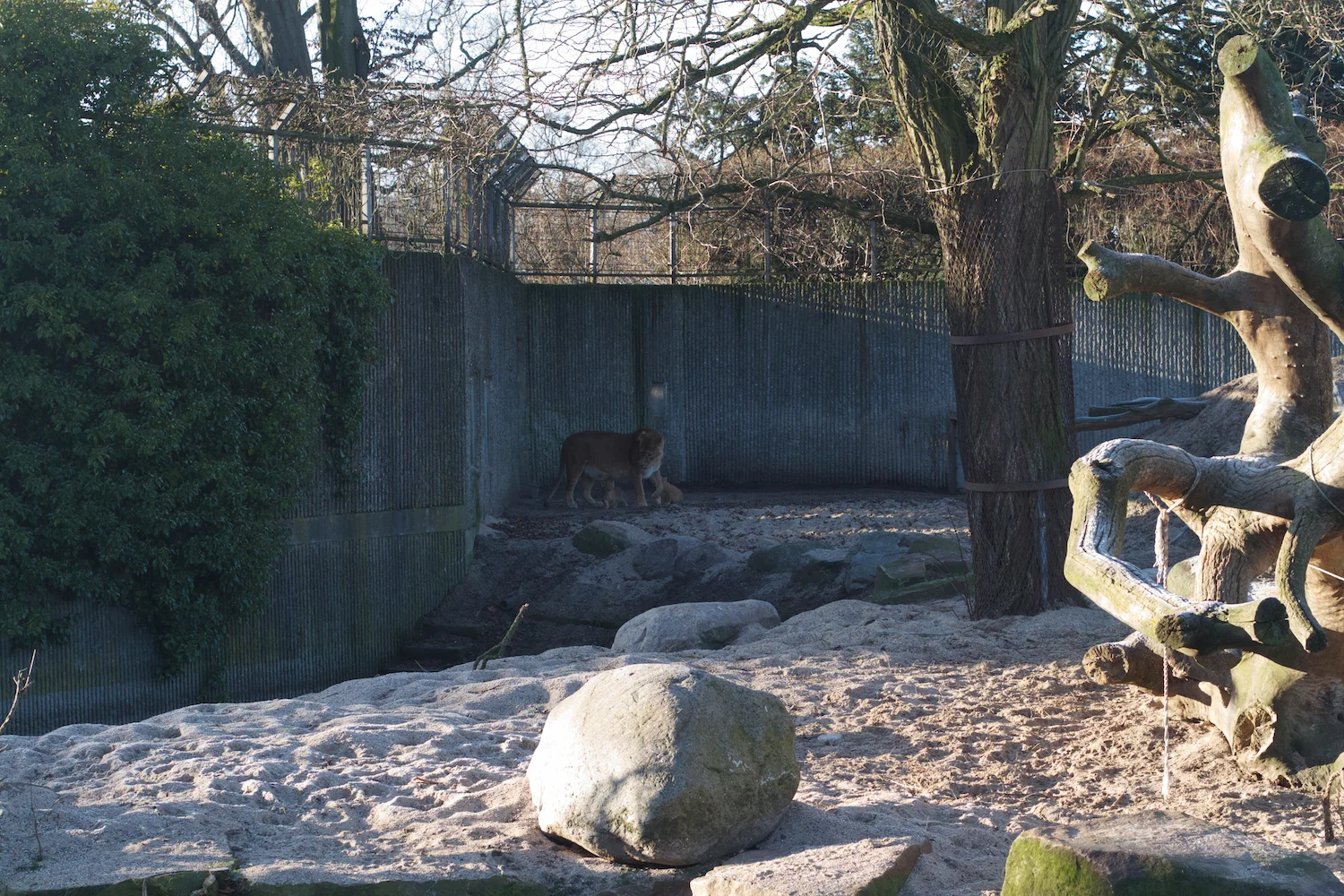 skd pic 2012_12_28 IMG_6933.CR2.jpg