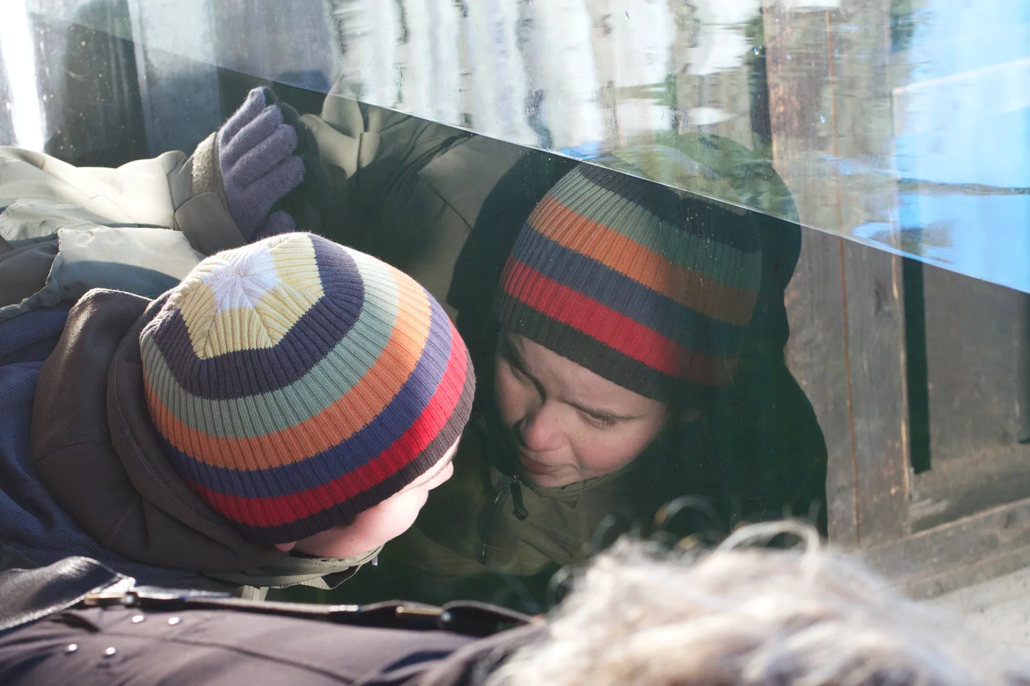 skd pic 2012_12_28 IMG_6941.CR2.jpg