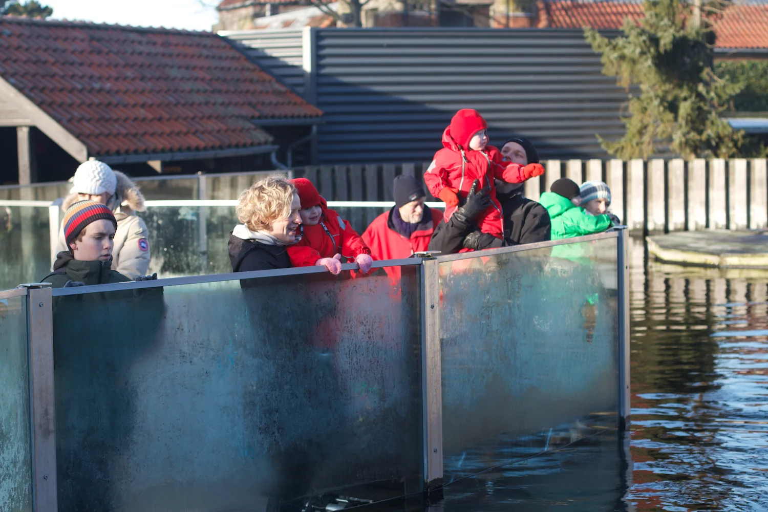 skd pic 2012_12_28 IMG_6952.CR2.jpg