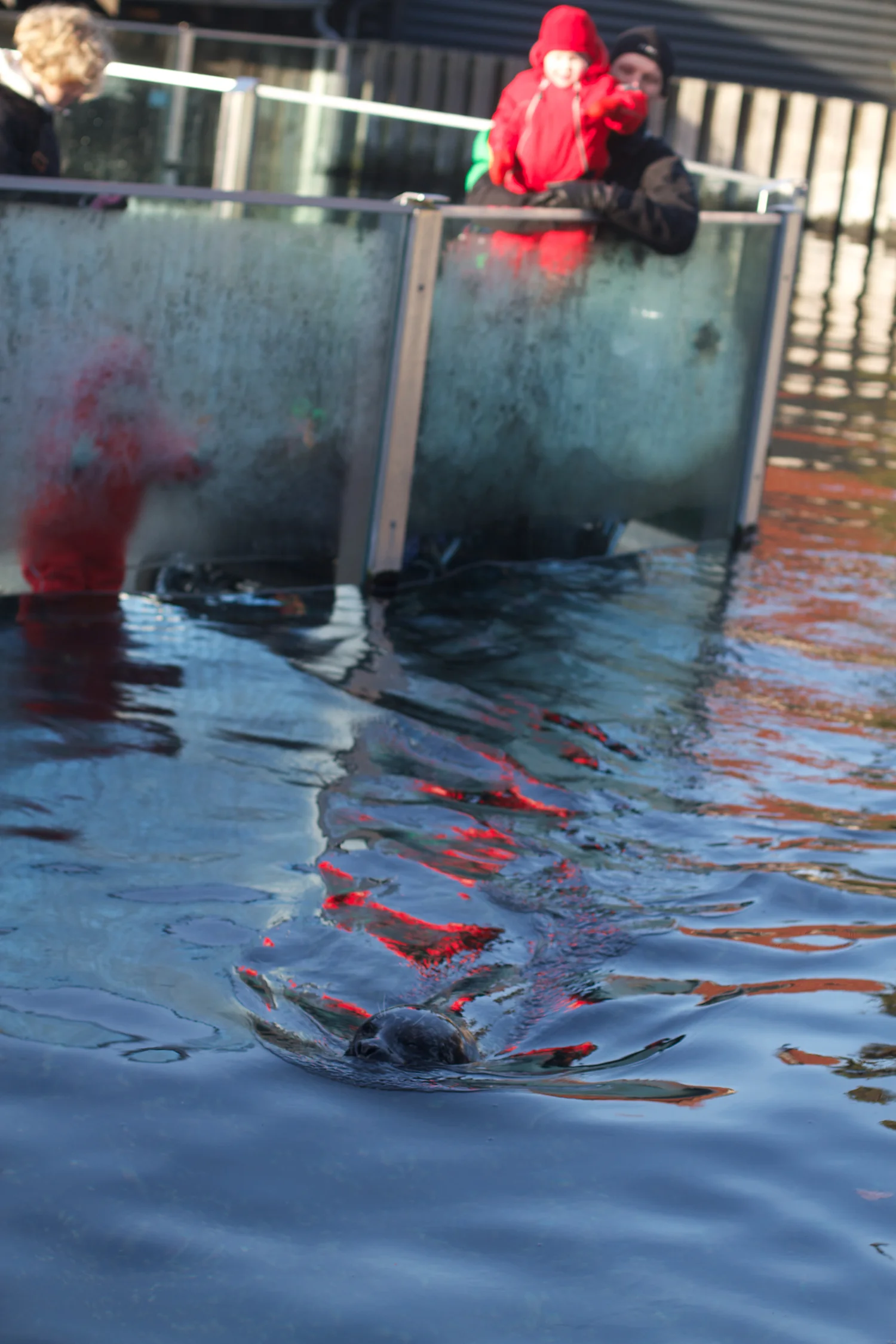 skd pic 2012_12_28 IMG_6954.CR2.jpg