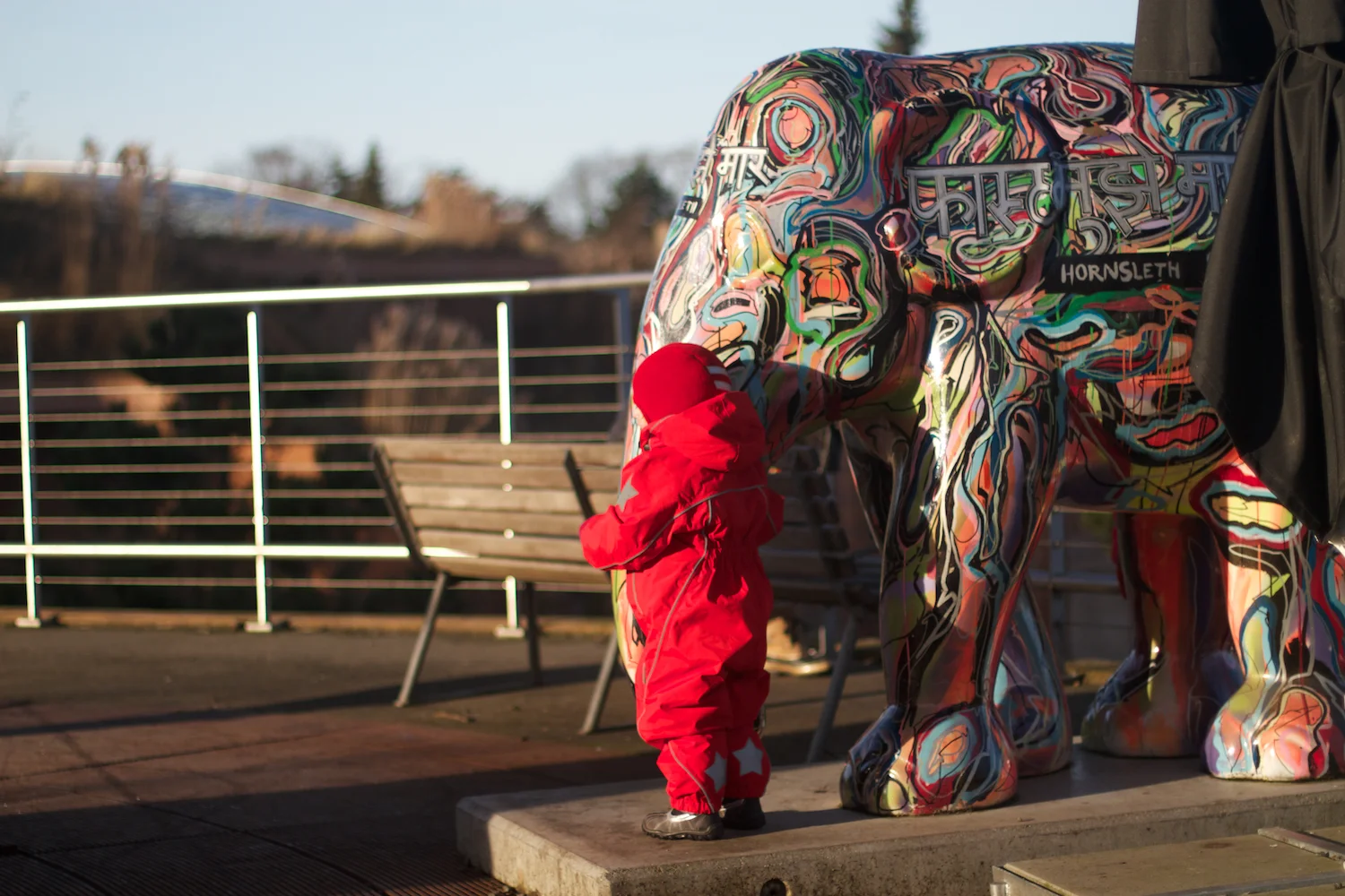 skd pic 2012_12_28 IMG_6966.CR2.jpg