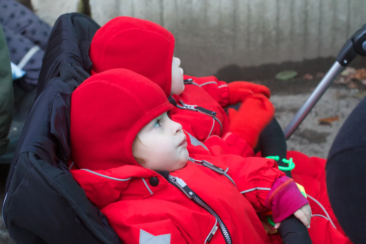 skd pic 2012_12_28 IMG_6979.CR2.jpg