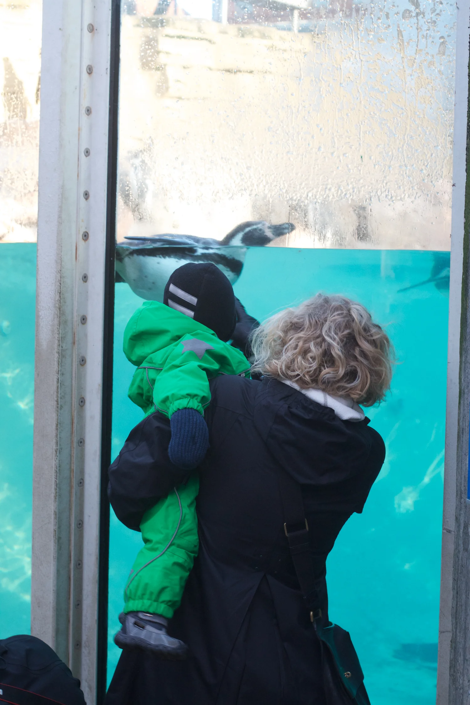 skd pic 2012_12_28 IMG_6977.CR2.jpg