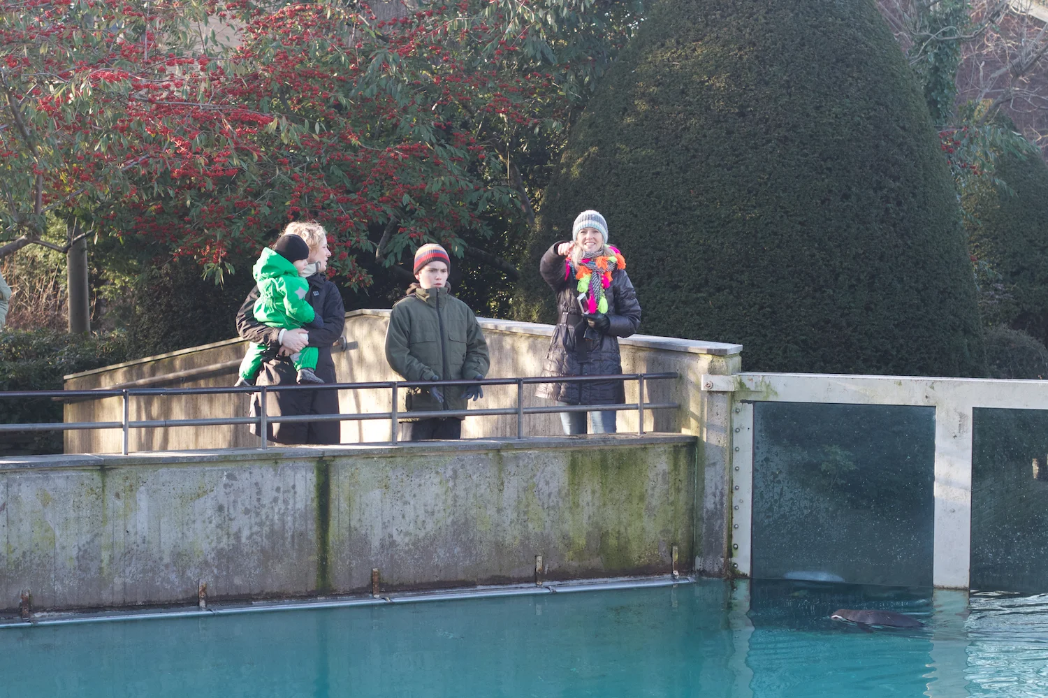 skd pic 2012_12_28 IMG_6991.CR2.jpg