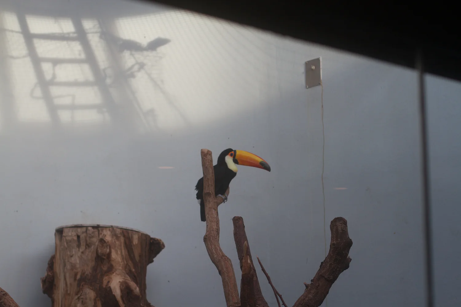 skd pic 2012_12_28 IMG_7022.CR2.jpg