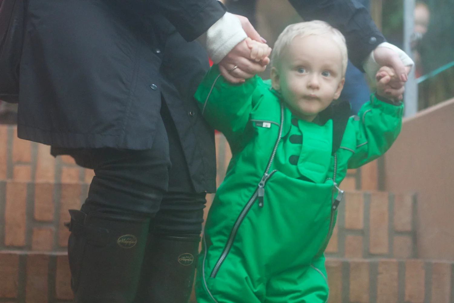 skd pic 2012_12_28 IMG_7030.CR2.jpg