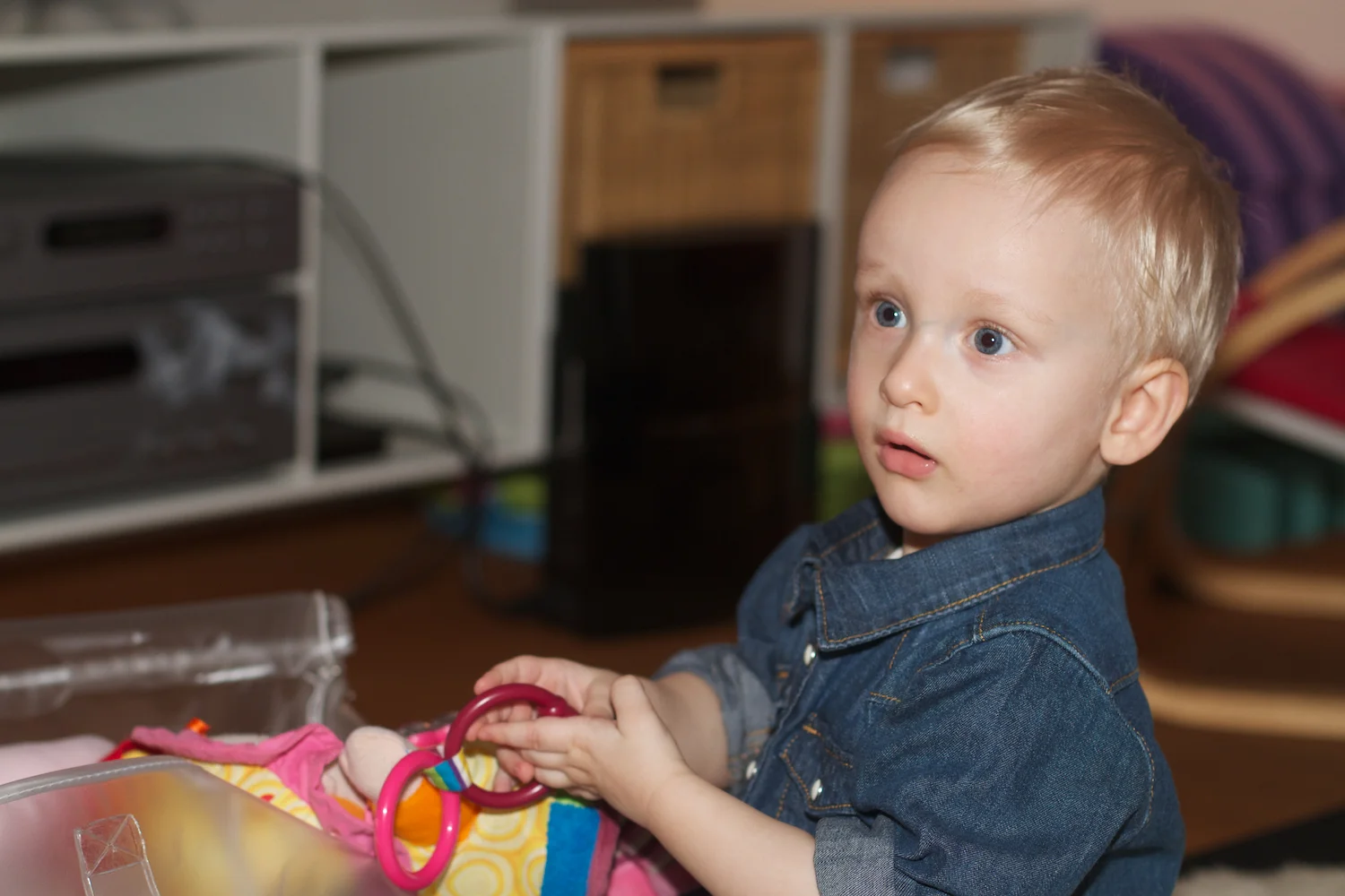 skd pic 2012_12_31 IMG_7053.CR2.jpg