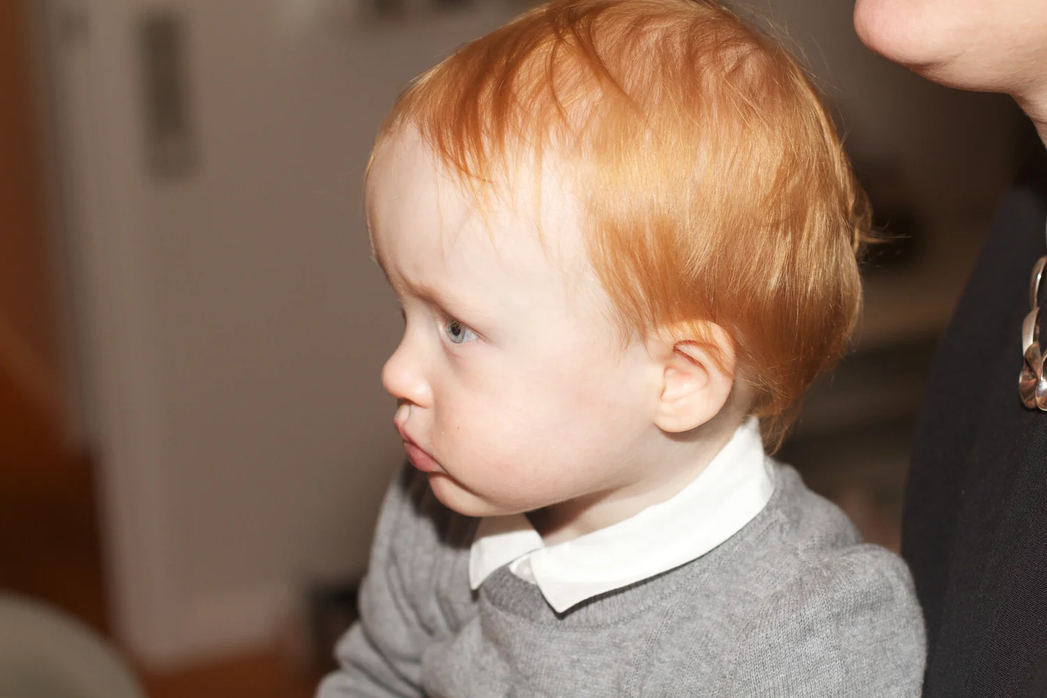 skd pic 2012_12_31 IMG_7051.CR2.jpg