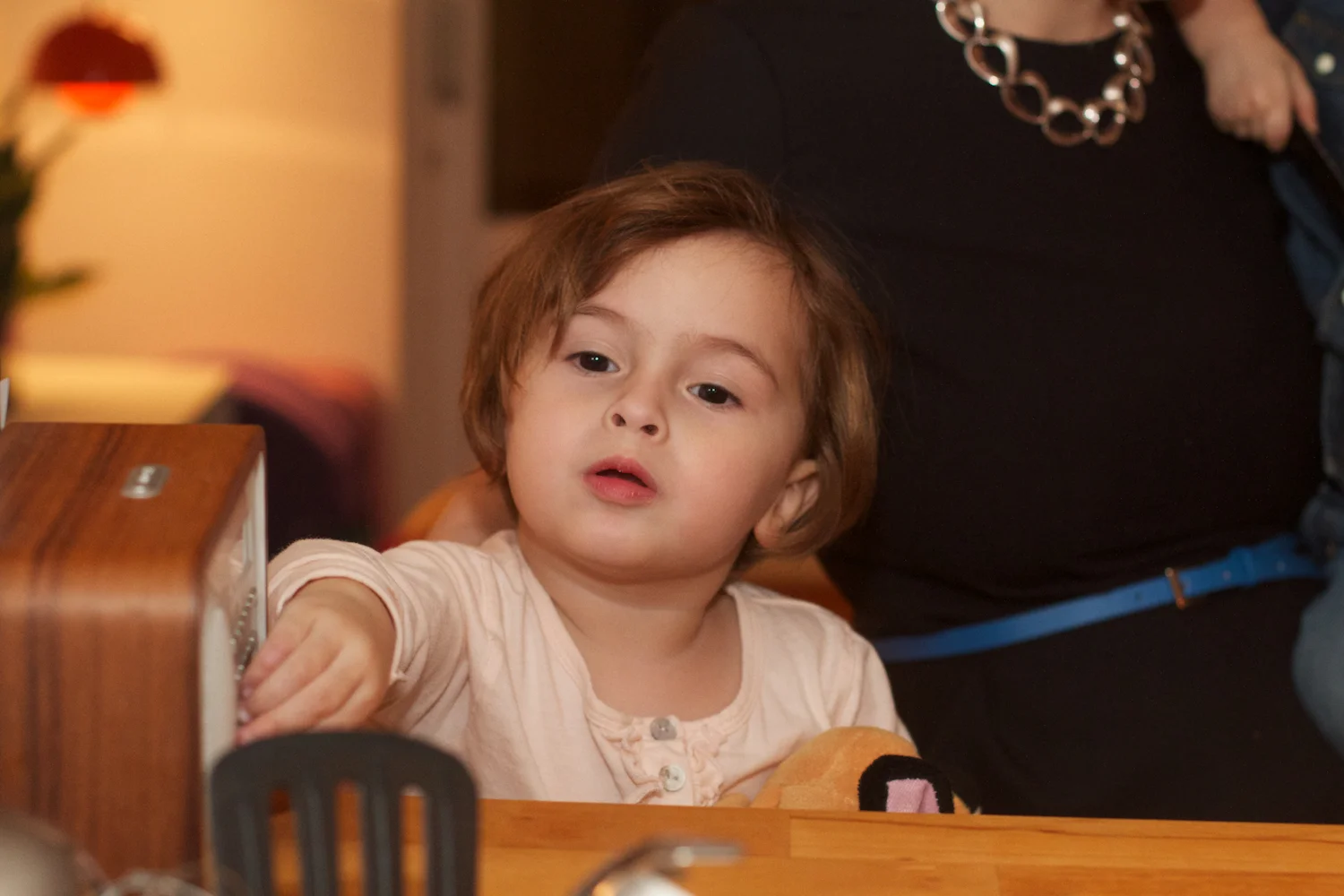 skd pic 2012_12_31 IMG_7059.CR2.jpg