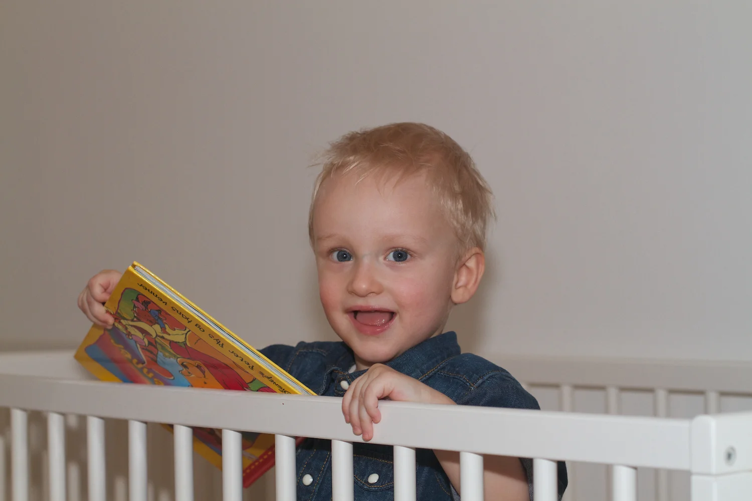 skd pic 2012_12_31 IMG_7084.CR2.jpg